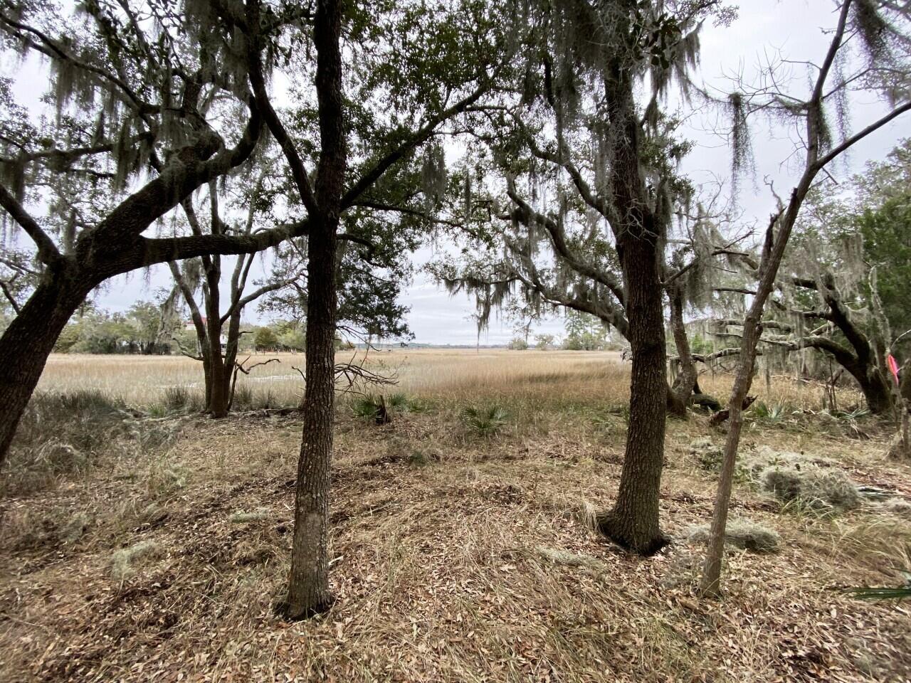 2 Long Island Road Meggett, SC 29449 - Photo 21 of 44 Unlimited potential!