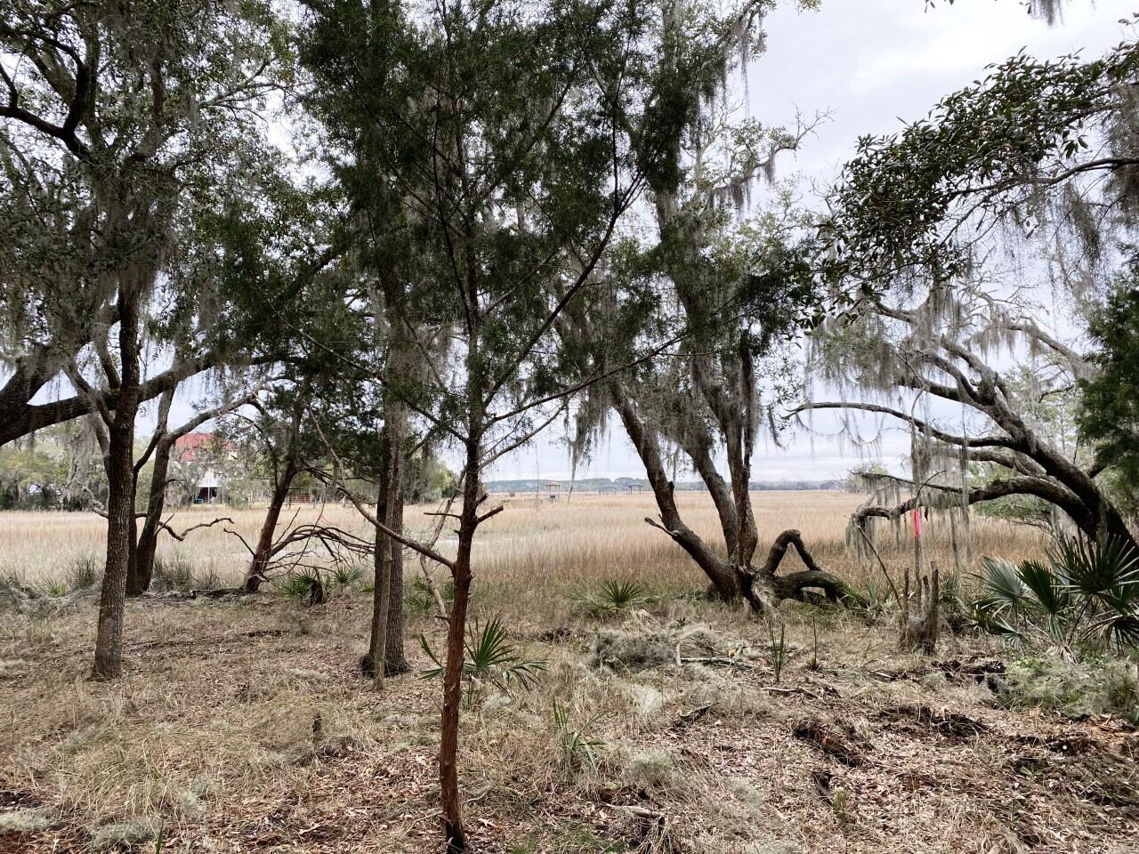 2 Long Island Road Meggett, SC 29449 - Photo 23 of 44 long island critical line pic 3
