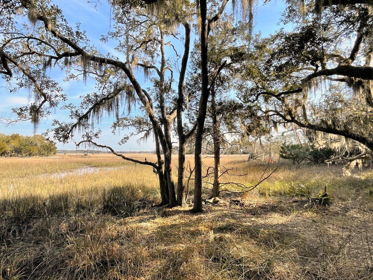 2 Long Island Road Meggett, SC 29449 - Photo 25 of 44 Great area and location!