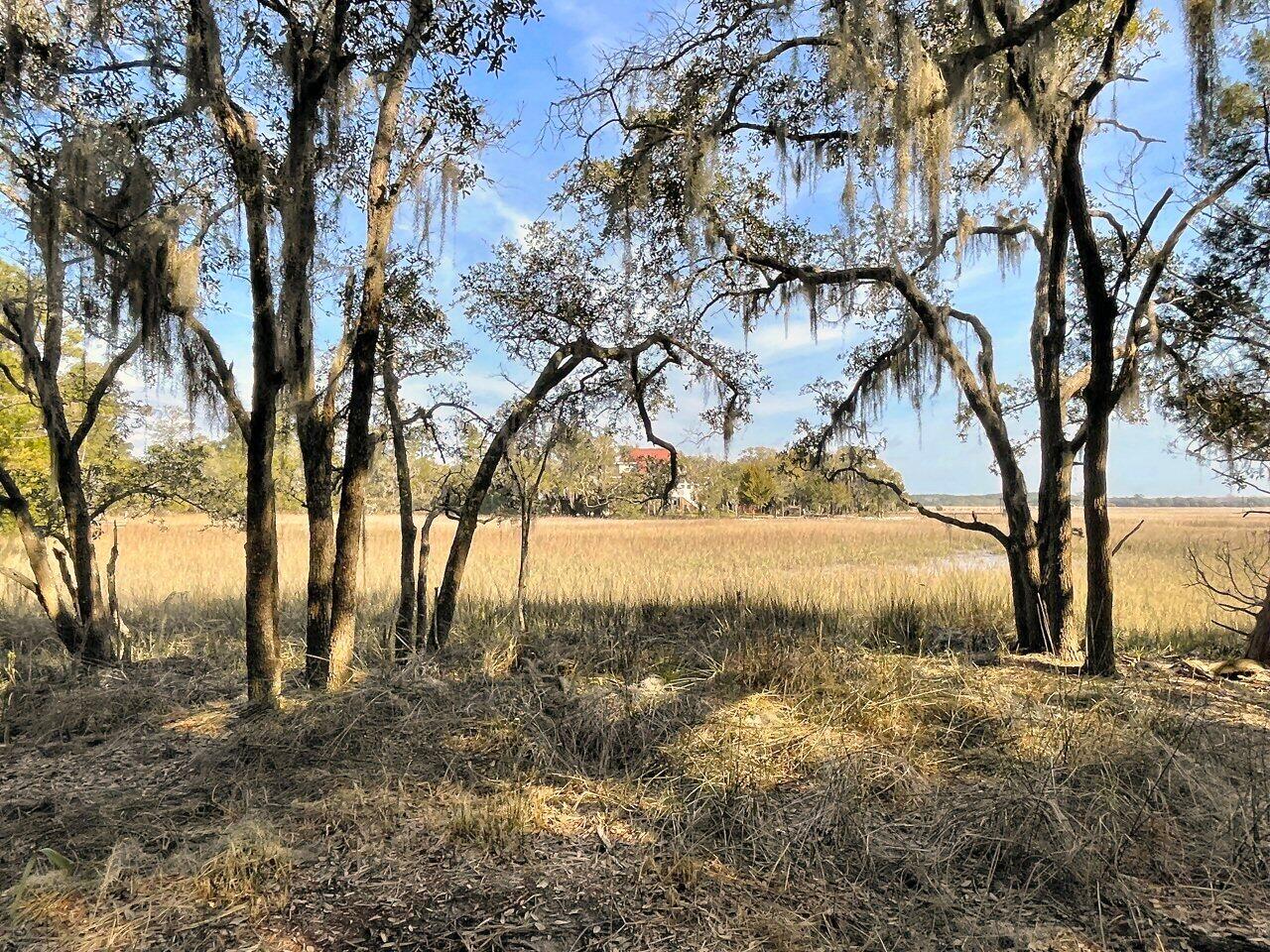 2 Long Island Road Meggett, SC 29449 - Photo 26 of 44 Oak lined bank!