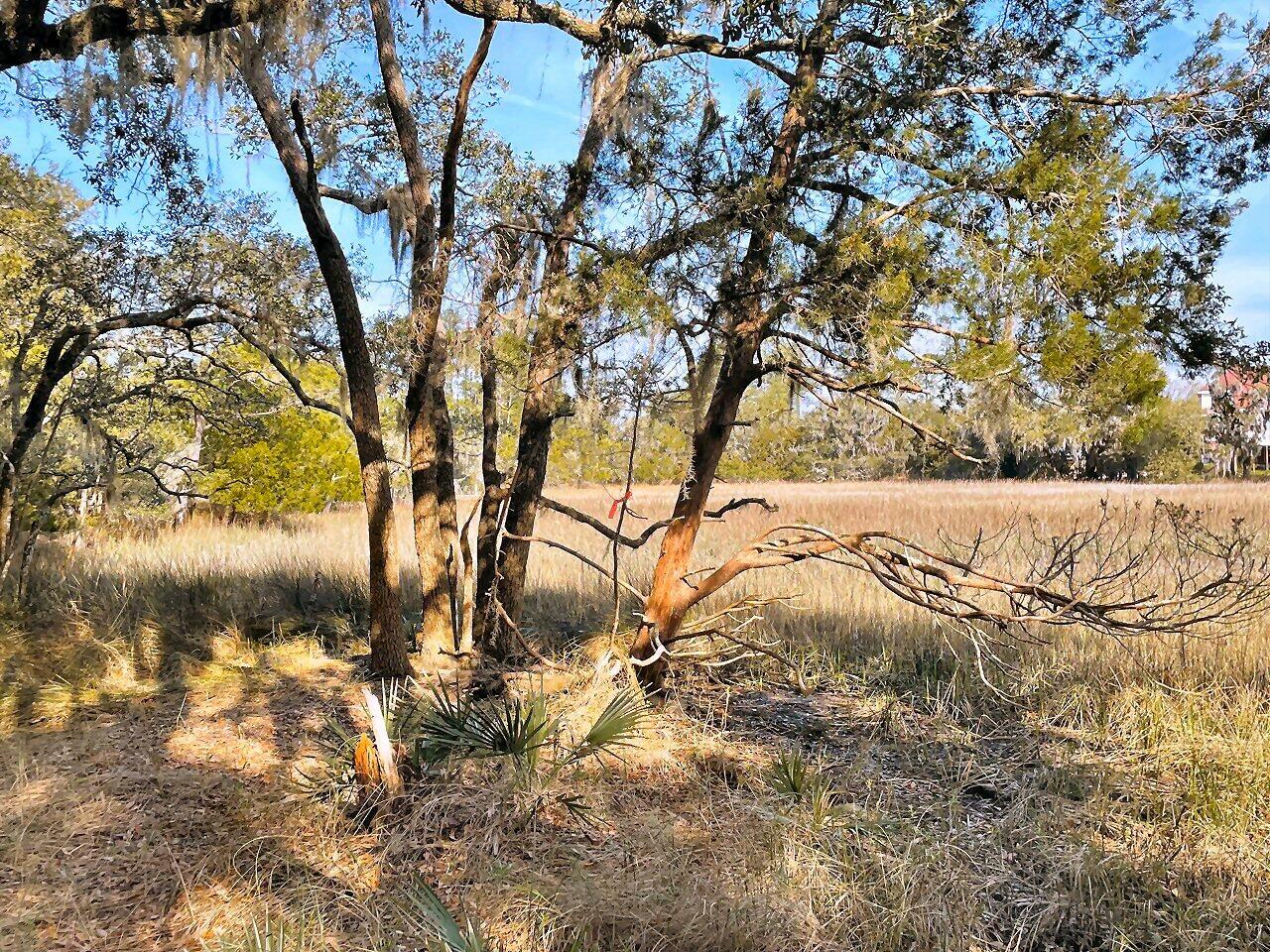 2 Long Island Road Meggett, SC 29449 - Photo 27 of 44 Buy now, build later!