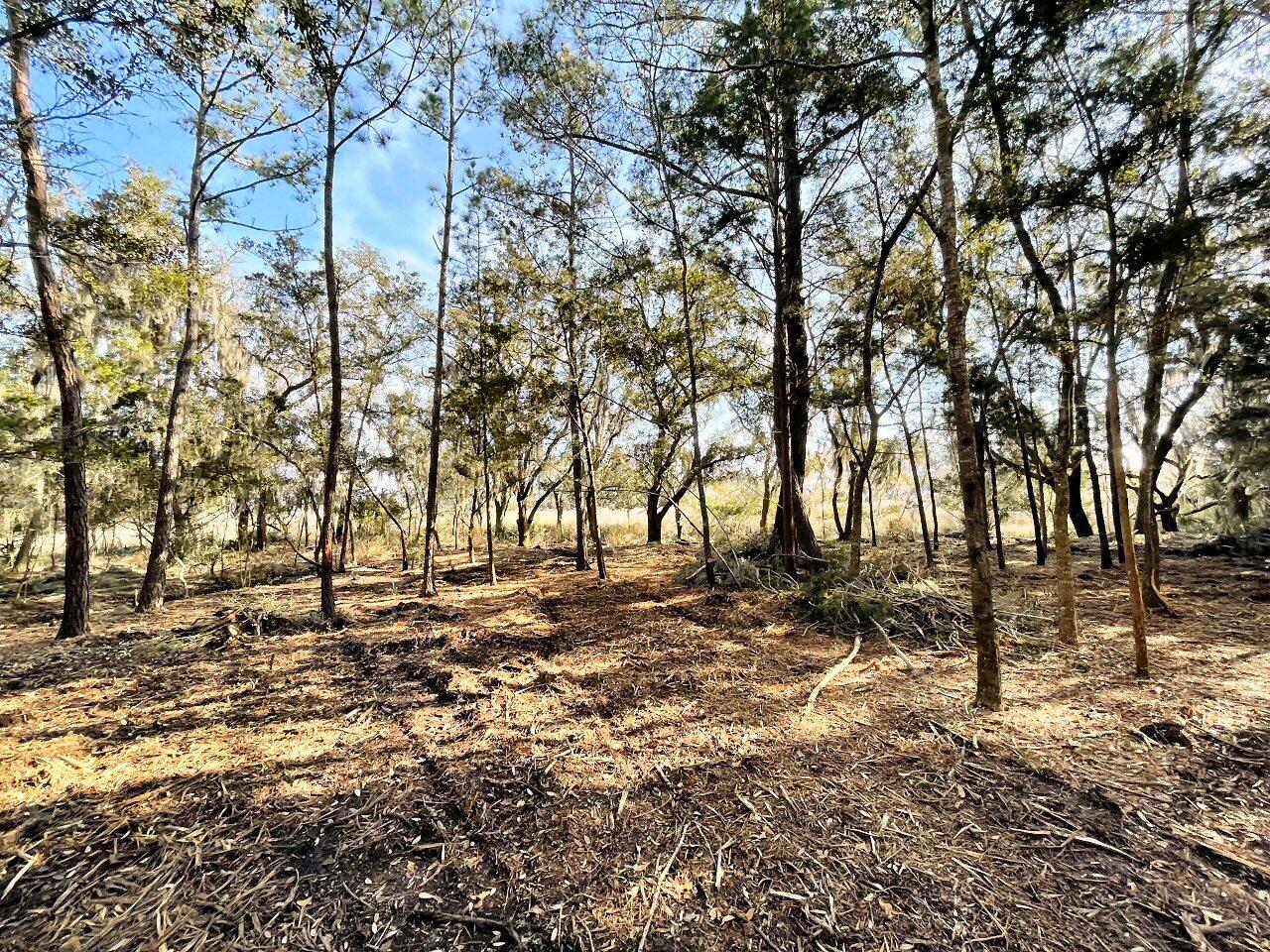 2 Long Island Road Meggett, SC 29449 - Photo 28 of 44 Homesite area!