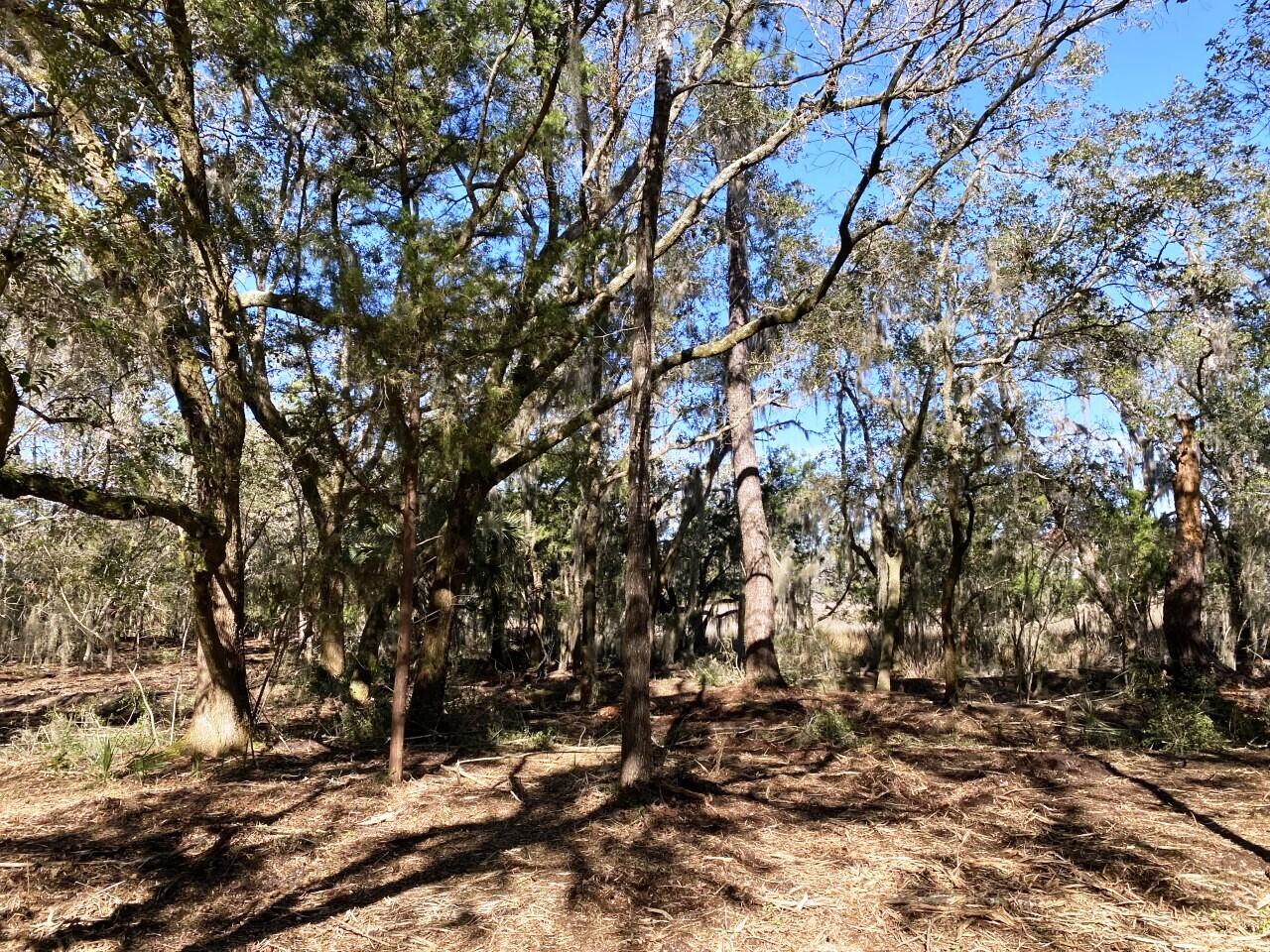 2 Long Island Road Meggett, SC 29449 - Photo 30 of 44 No mobile homes allowed