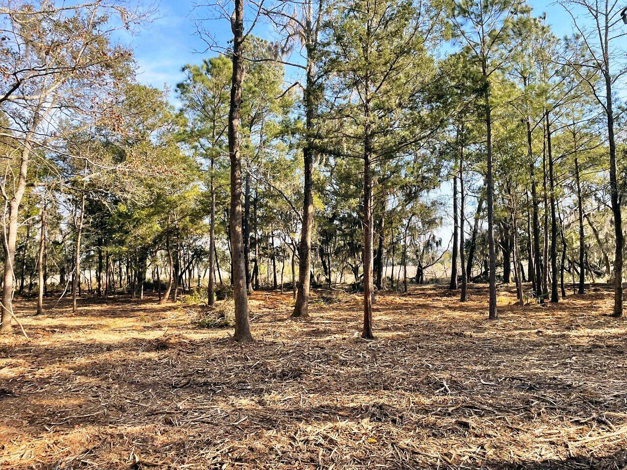 2 Long Island Road Meggett, SC 29449 - Photo 31 of 44 Homesite area!