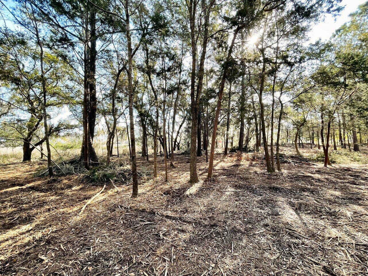 2 Long Island Road Meggett, SC 29449 - Photo 32 of 44 Individual septic systems required!