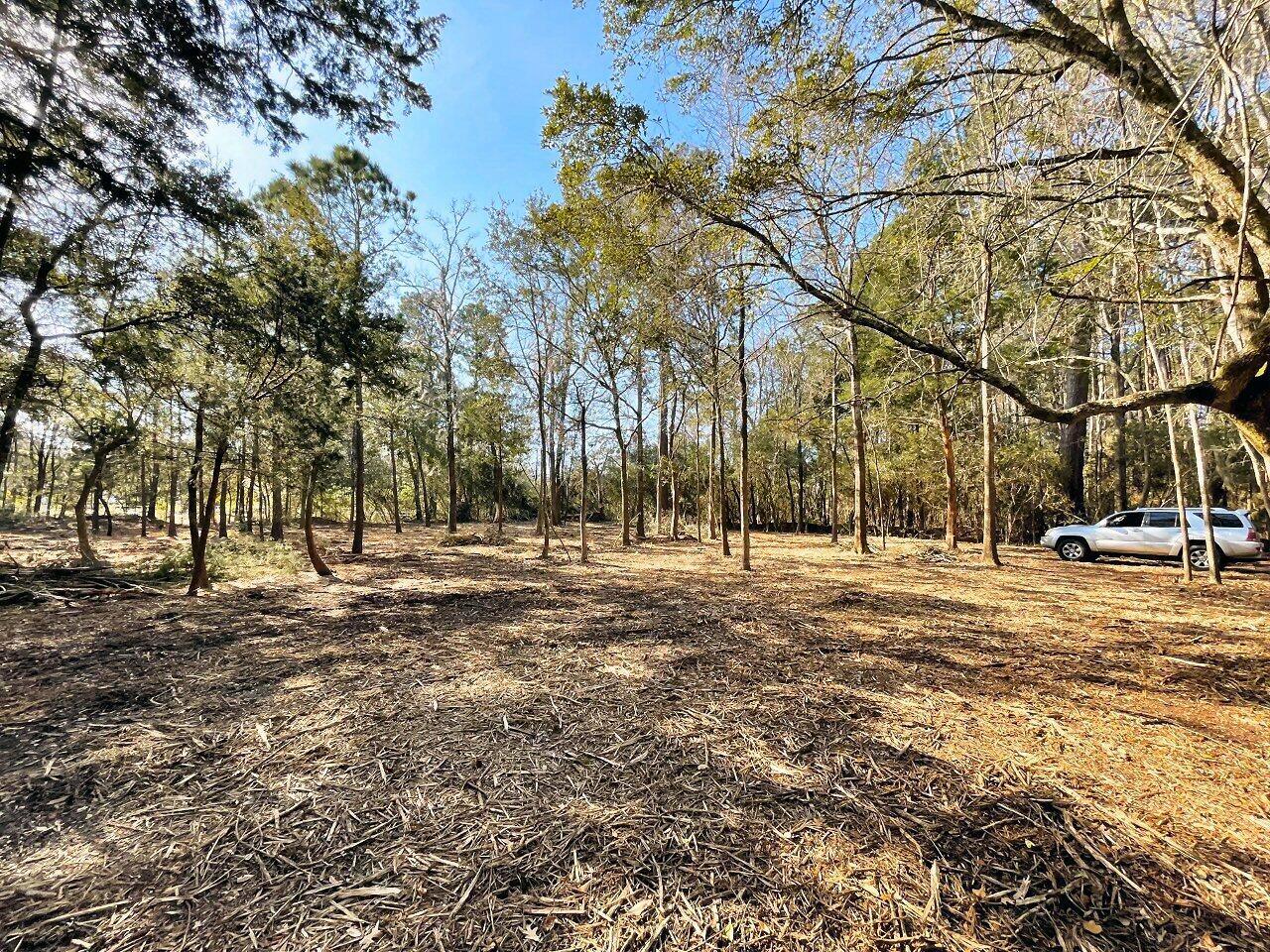 2 Long Island Road Meggett, SC 29449 - Photo 33 of 44 Individual well required!