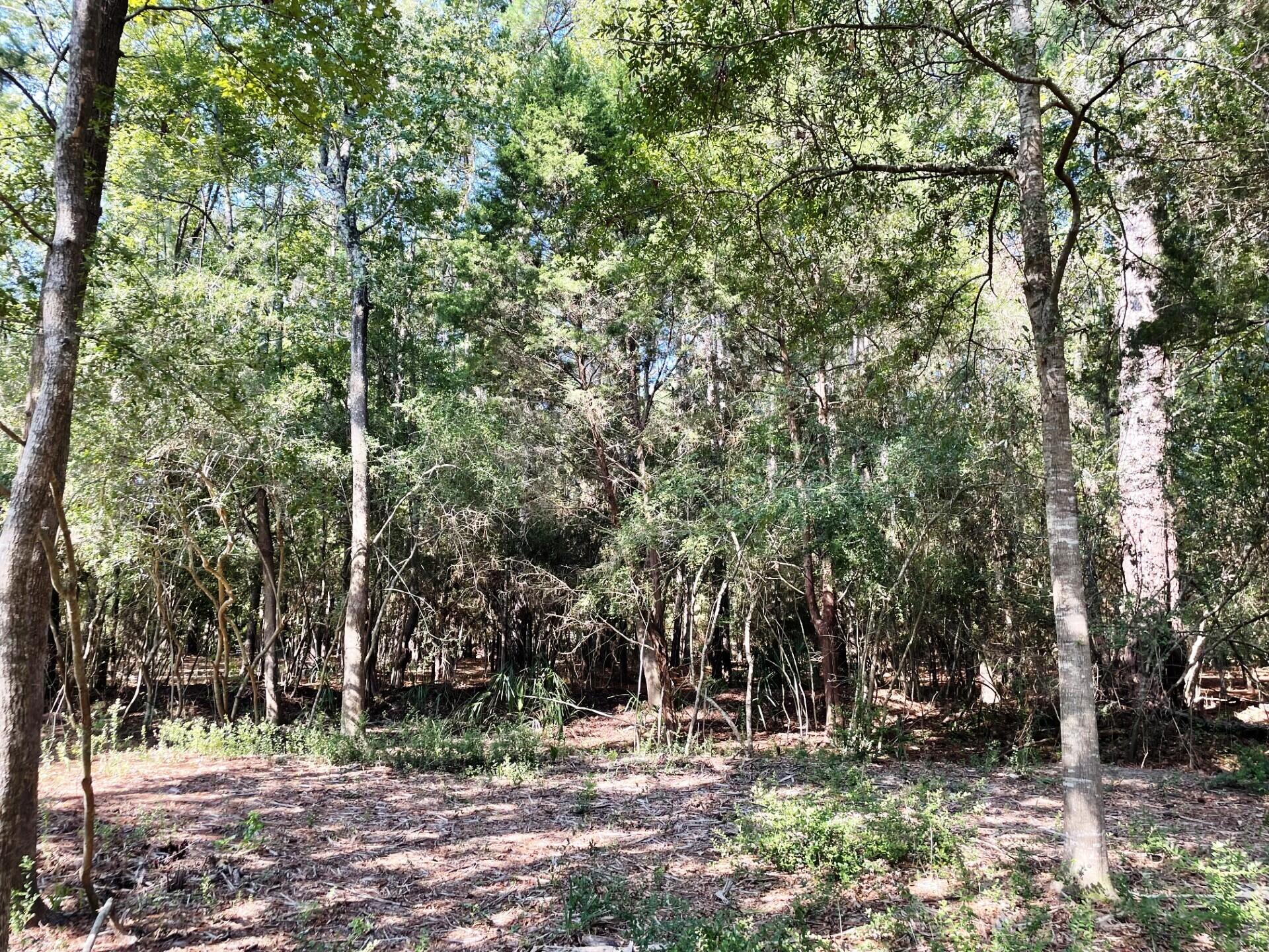 2 Long Island Road Meggett, SC 29449 - Photo 34 of 44 Front part of lot is wooded