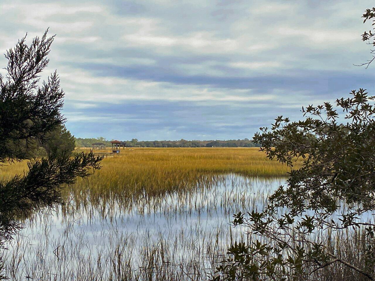 2 Long Island Road Meggett, SC 29449 - Photo 4 of 44 Build your dream home today!