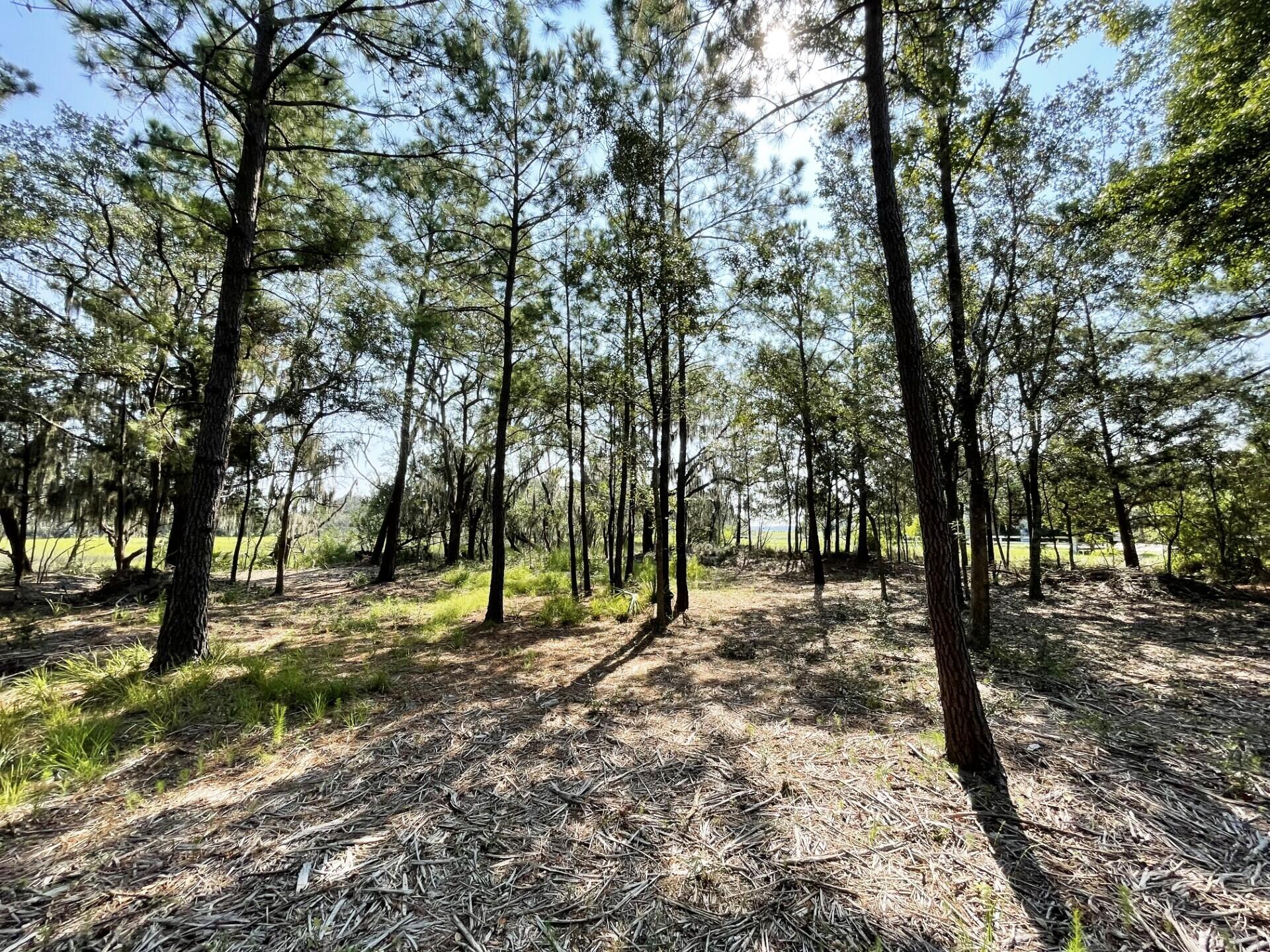 2 Long Island Road Meggett, SC 29449 - Photo 41 of 44 Homesite