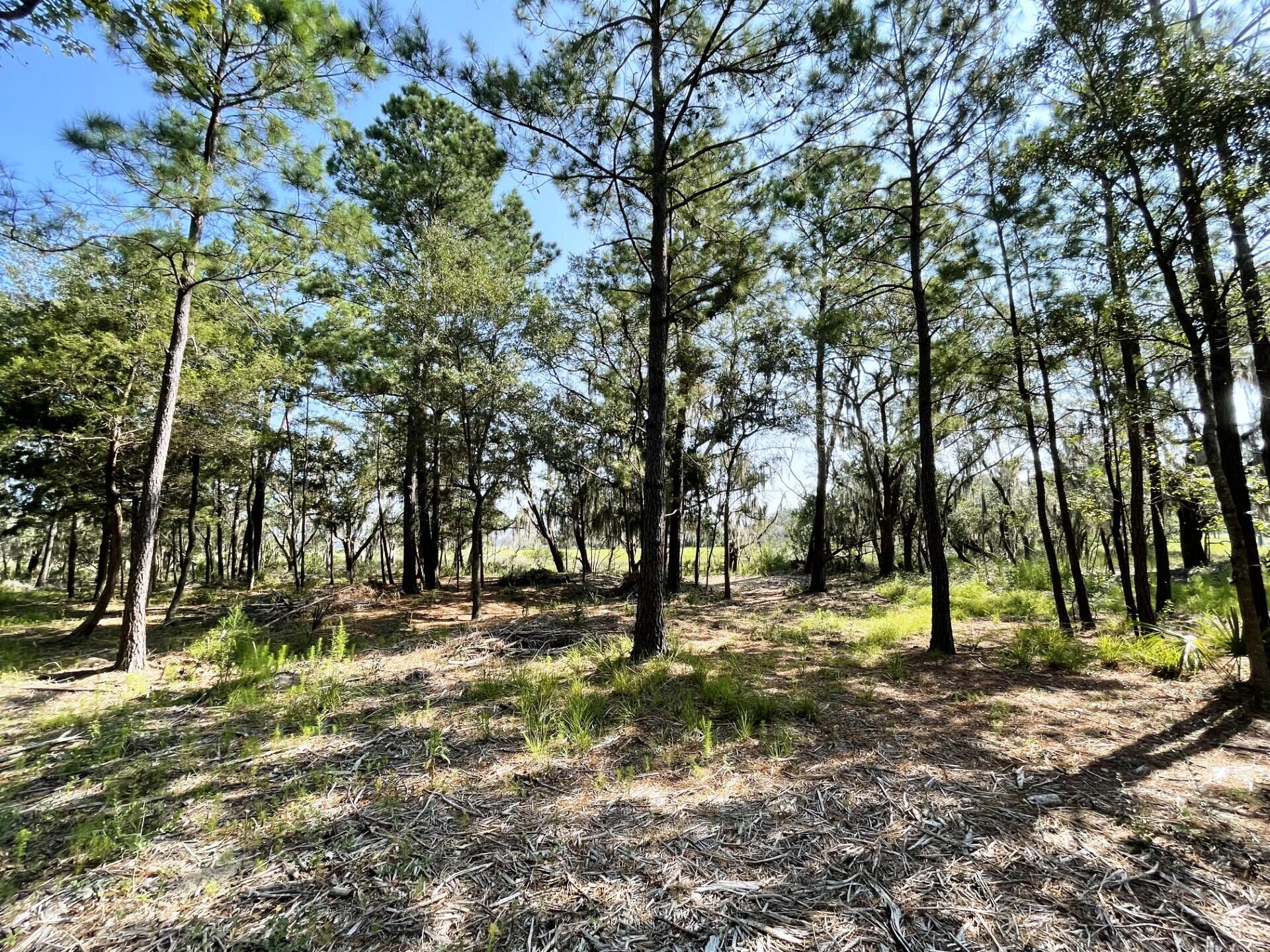 2 Long Island Road Meggett, SC 29449 - Photo 42 of 44 Homesite