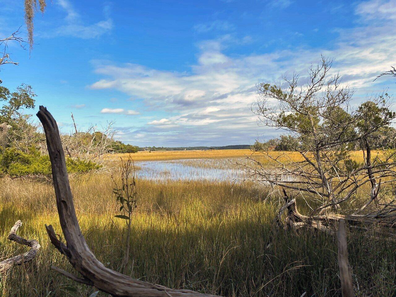2 Long Island Road Meggett, SC 29449 - Photo 5 of 44 Amazing views!