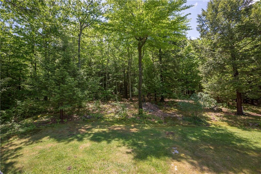 Private back yard