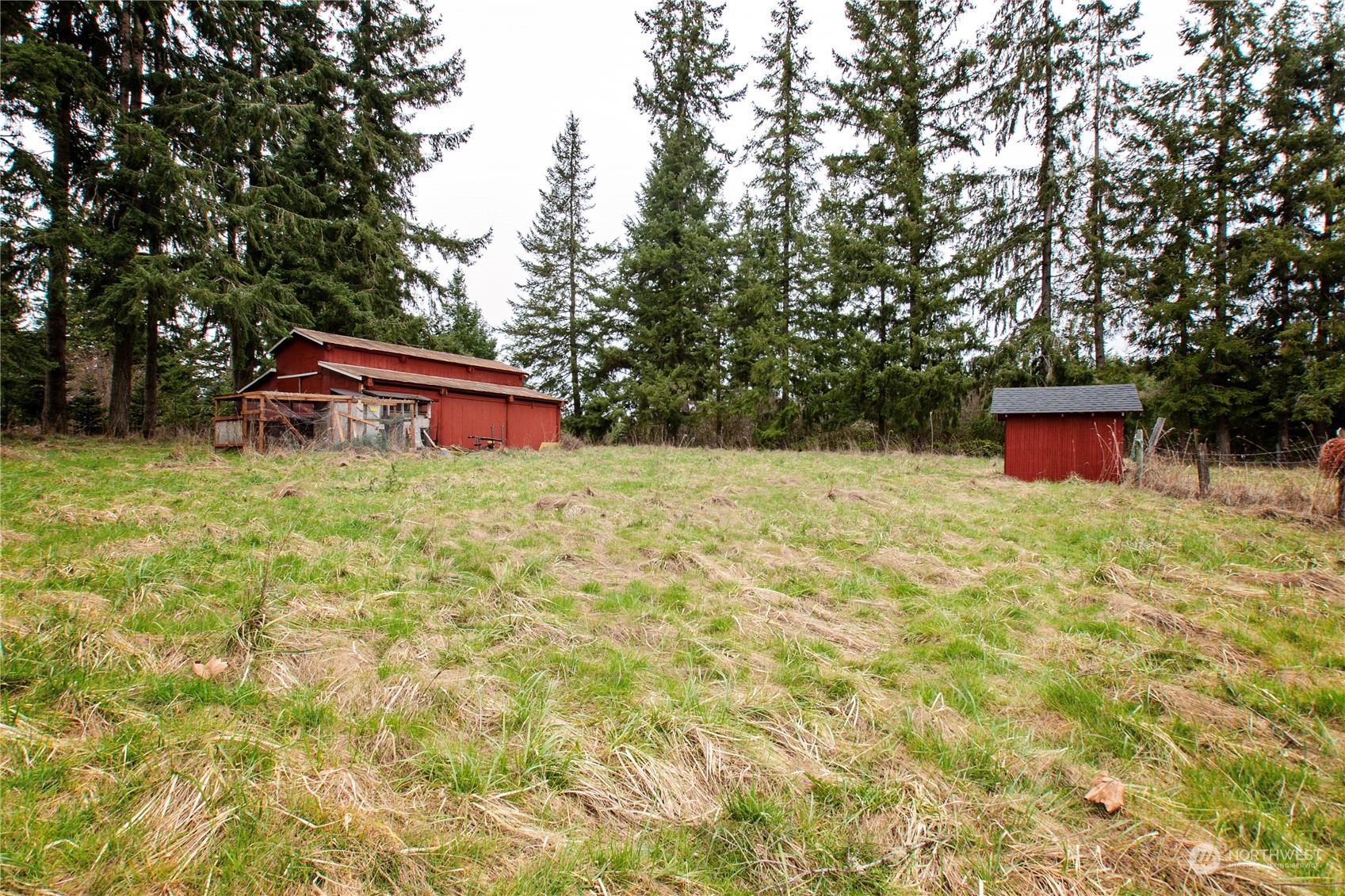 151 Ramsey Road Chehalis, WA 98532 - Photo 25 of 25 a backyard of a house with table and chairs a barbeque and a large trees