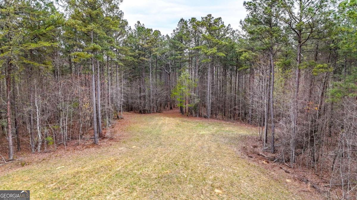 0 Felton Rockmart Road Buchanan, GA 30113 - Photo 27 of 47