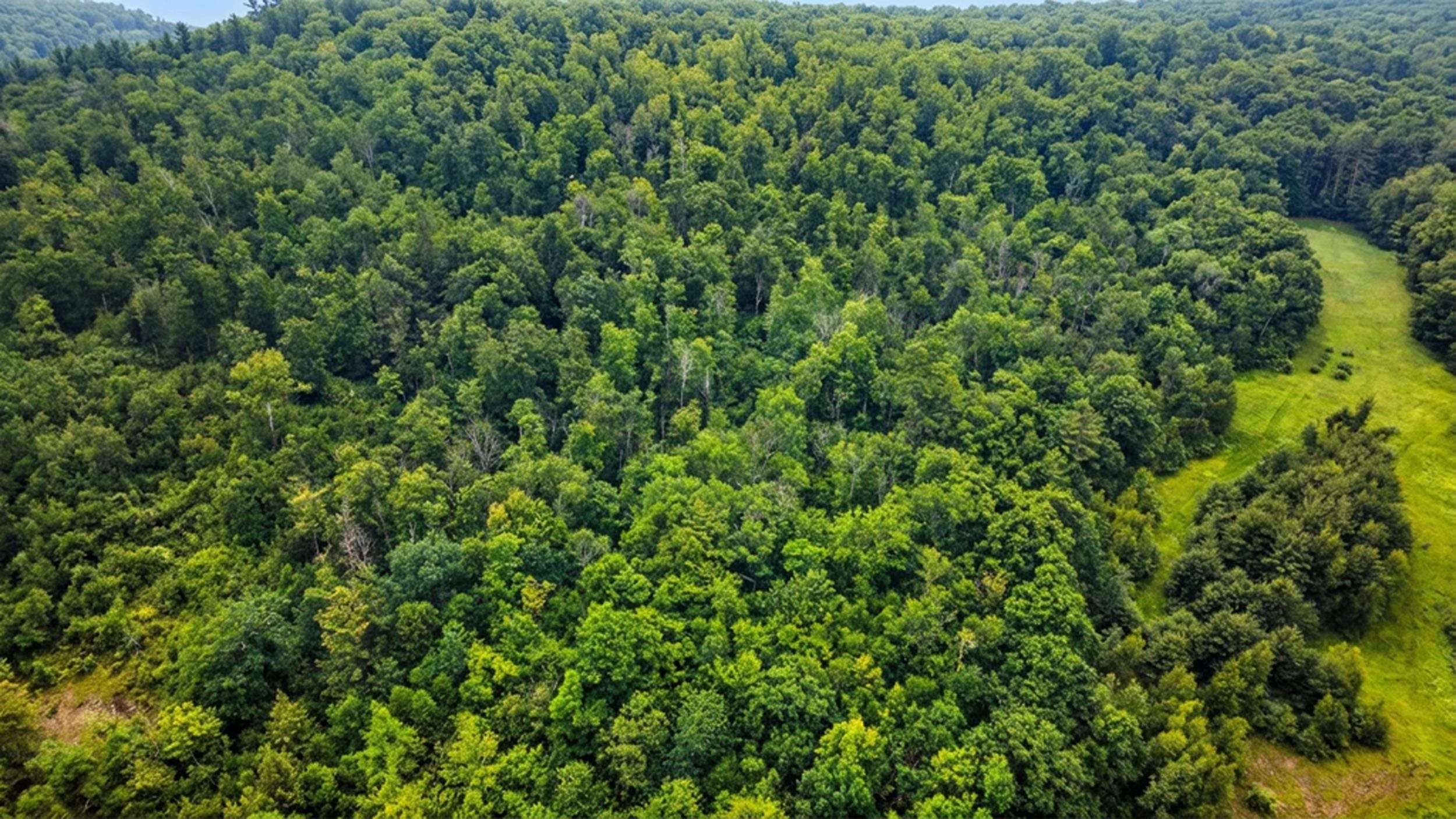 0 Hurricane Road, Unit BACKLAND Westmoreland, NH 03467 - Photo 5 of 10
