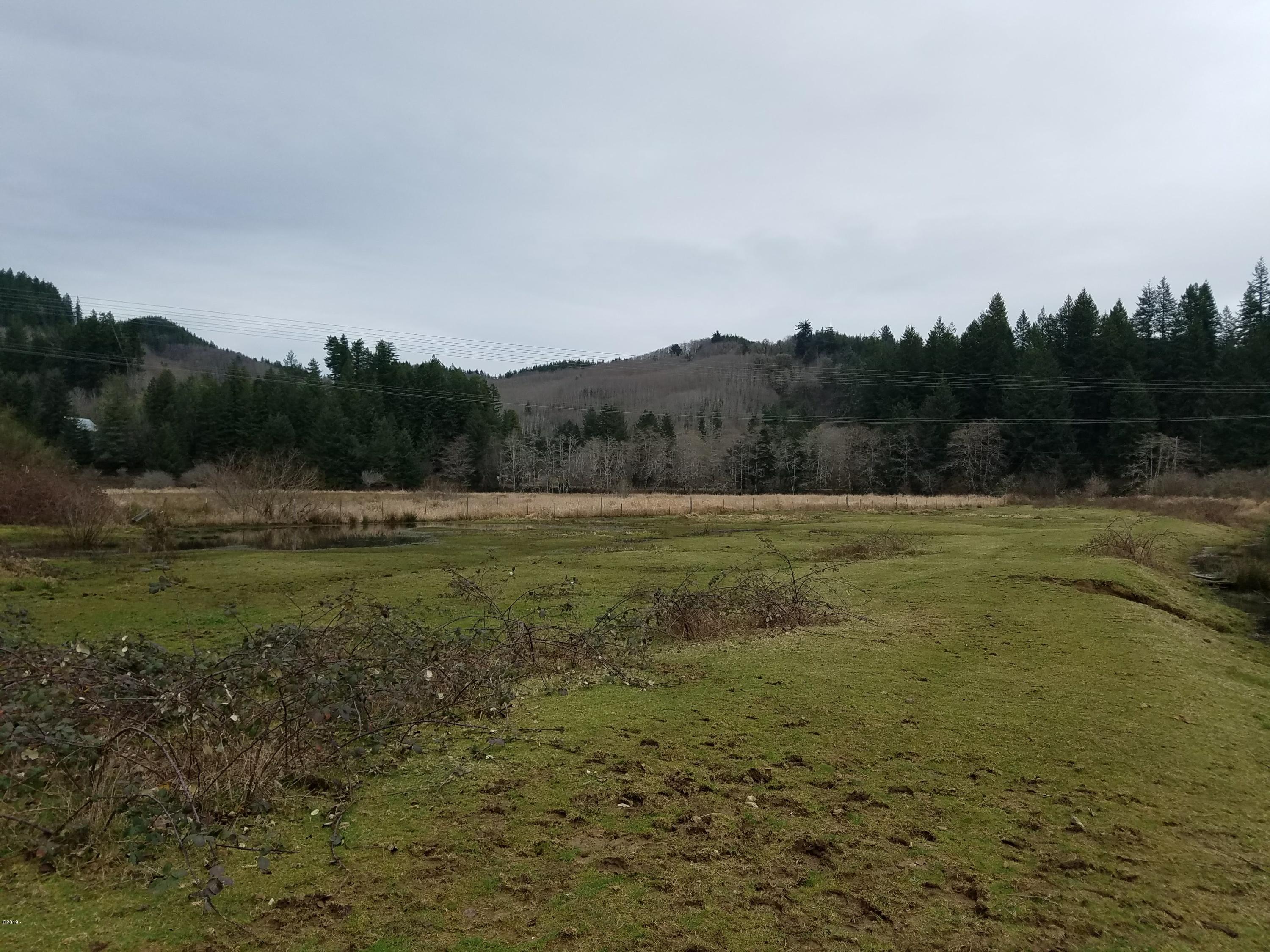 800 Northeast Ridge Drive Toledo, OR 97391 - Photo 12 of 19 Property View