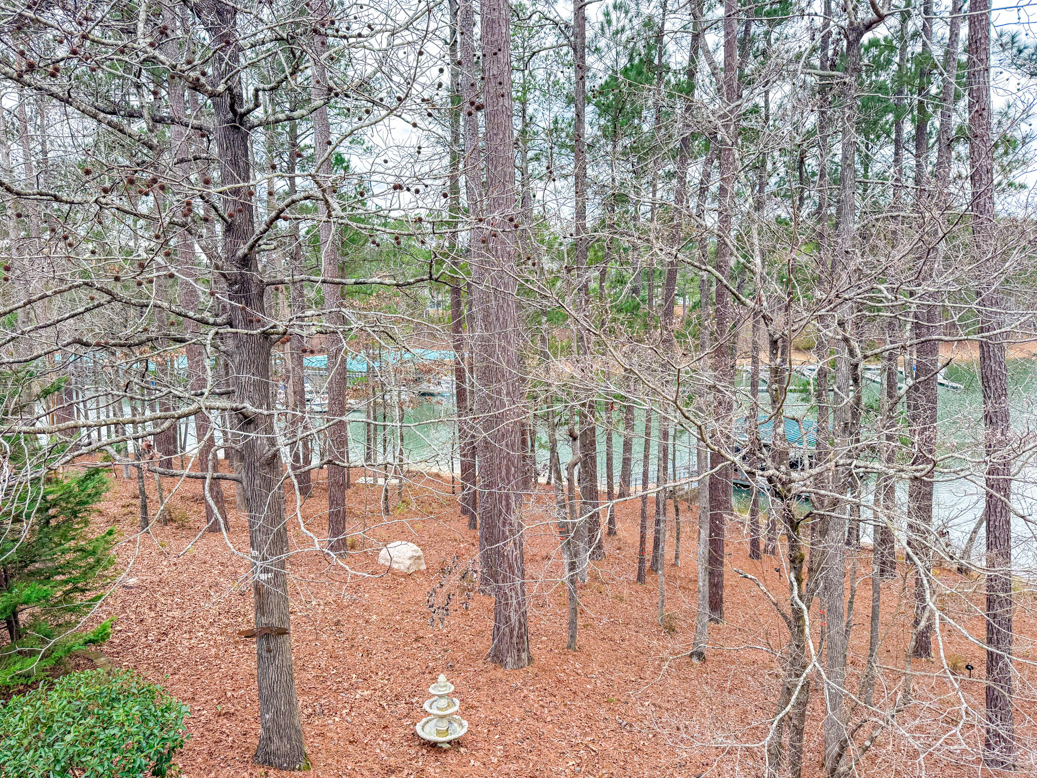 307 Superior Cove McCormick, SC 29835 - Photo 31 of 55 View from the deck