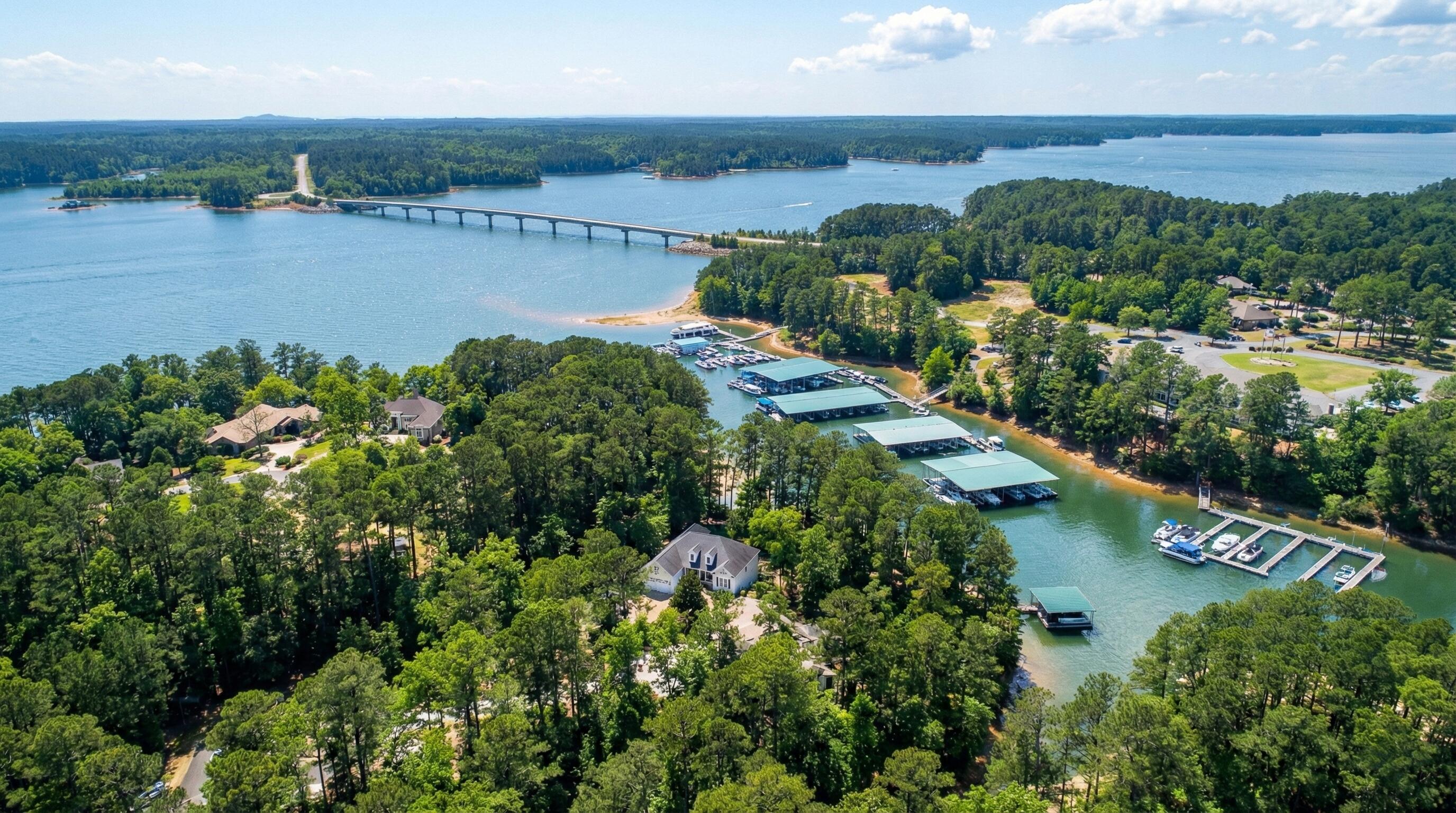 307 Superior Cove McCormick, SC 29835 - Photo 3 of 46 307 Superior Aerial