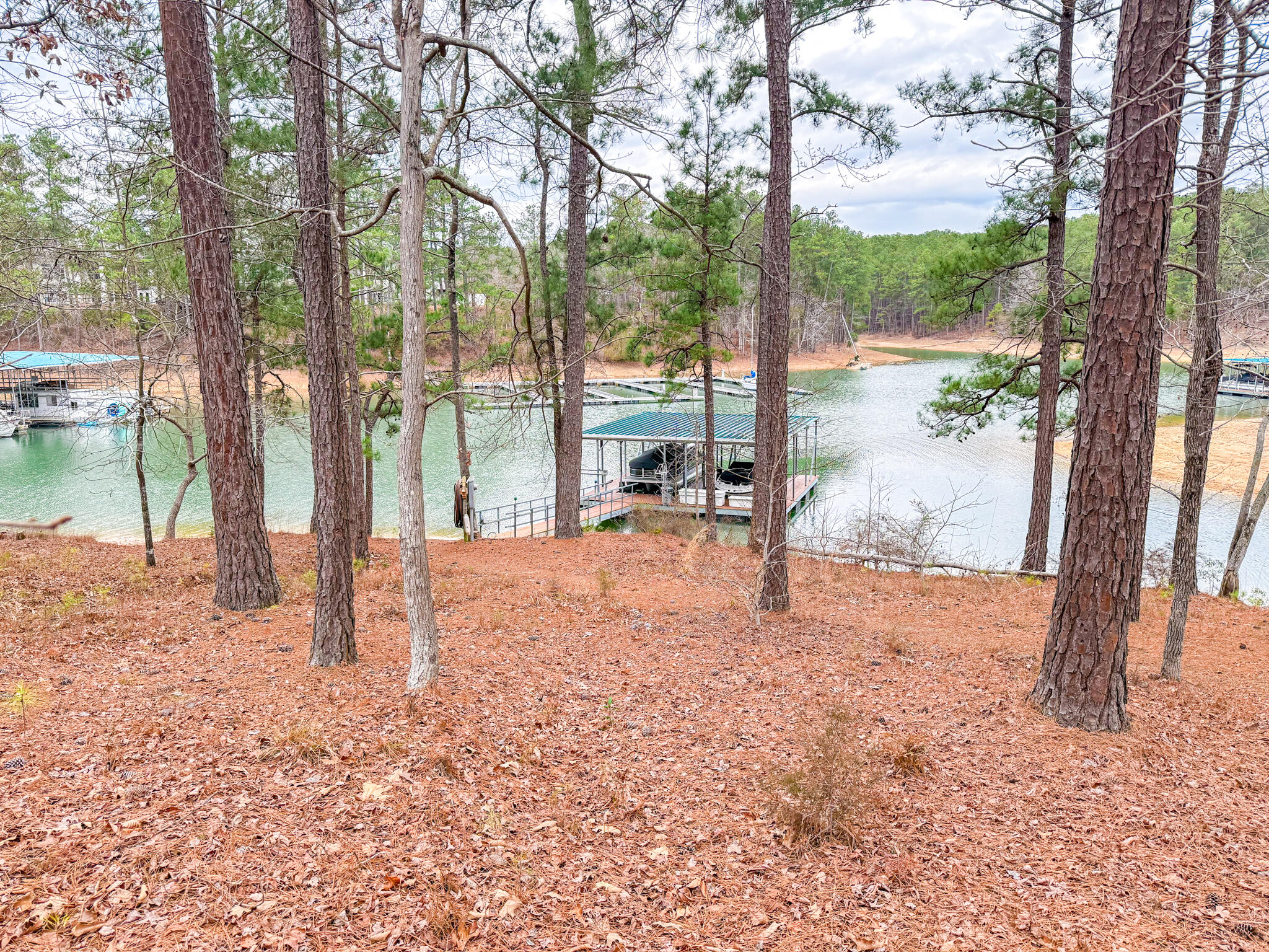 307 Superior Cove McCormick, SC 29835 - Photo 43 of 53 View with dock in back ground