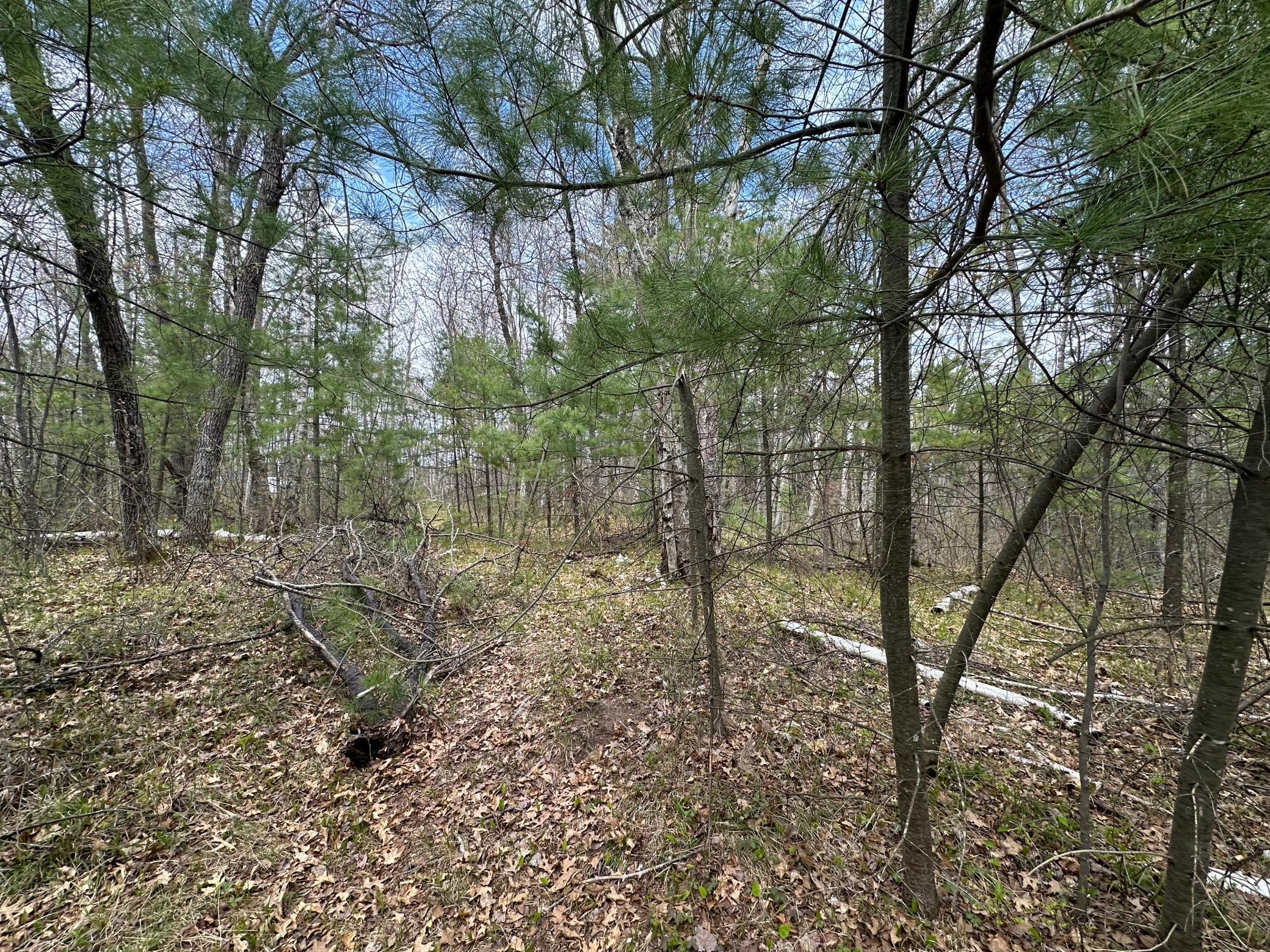 Tbd Dobosenski Road Sturgeon Lake, MN 55783 - Photo 11 of 22
