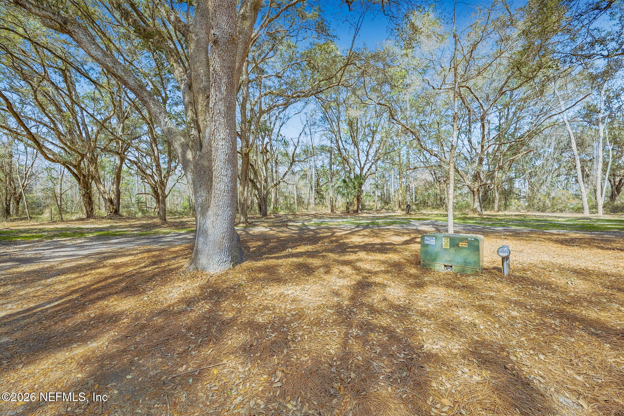 16684 Oak Hill Road Hilliard, FL 32046 - Photo 25 of 33 a view of outdoor space with trees