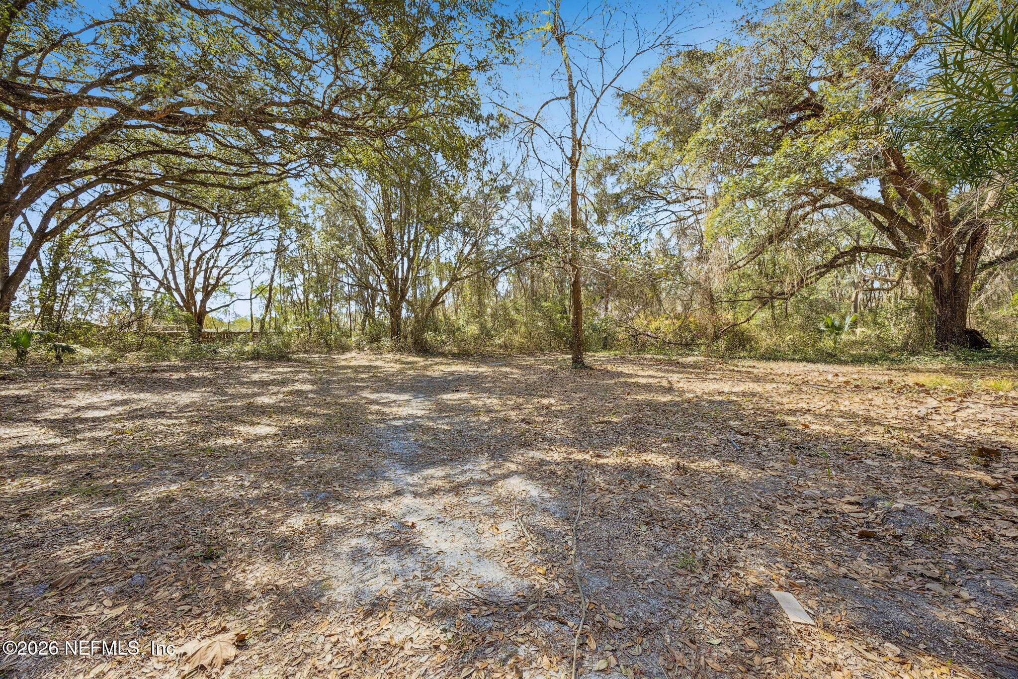 16684 Oak Hill Road Hilliard, FL 32046 - Photo 29 of 33 a view of dirt yard with a trees