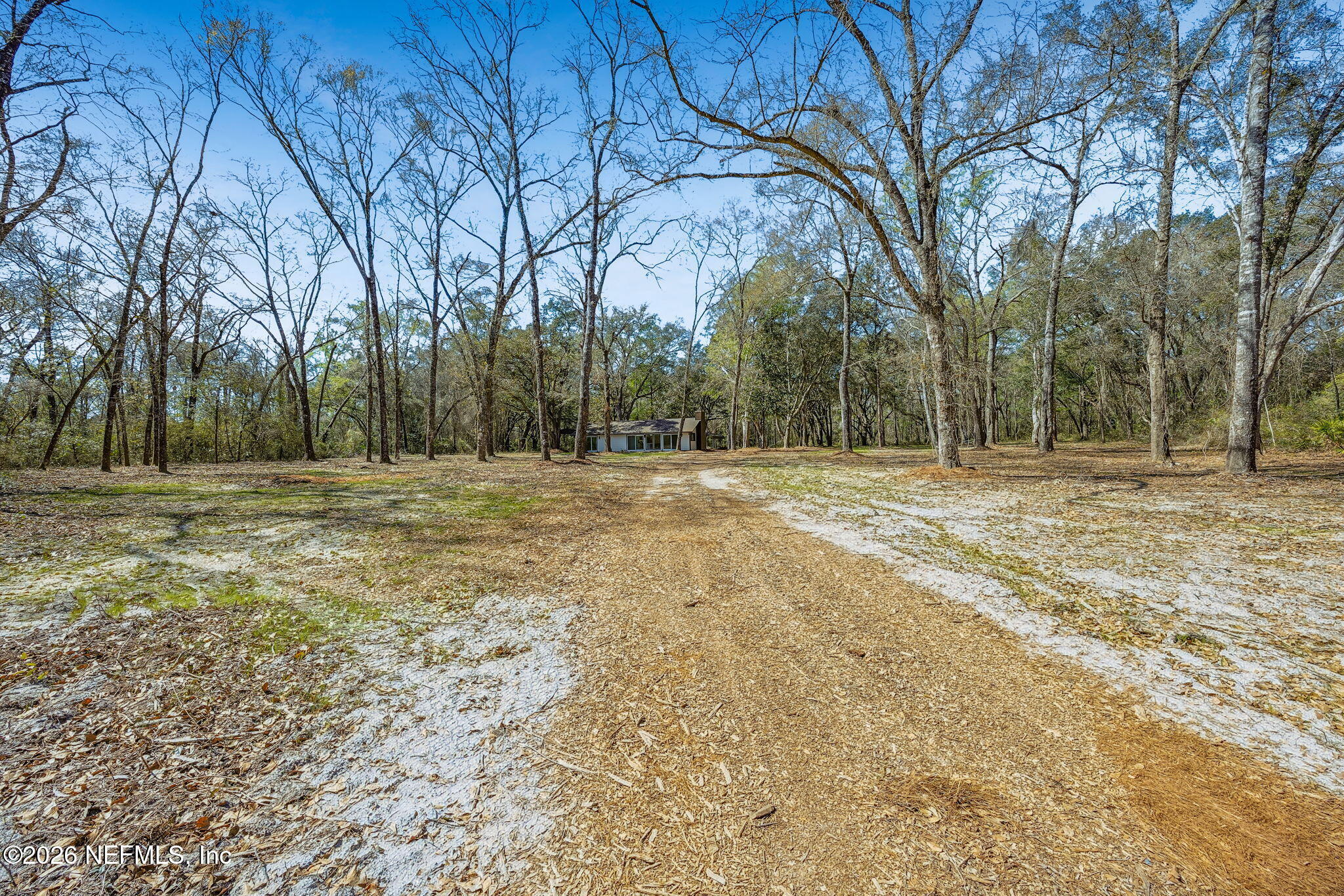 16684 Oak Hill Road Hilliard, FL 32046 - Photo 32 of 33 a view of outdoor space with trees