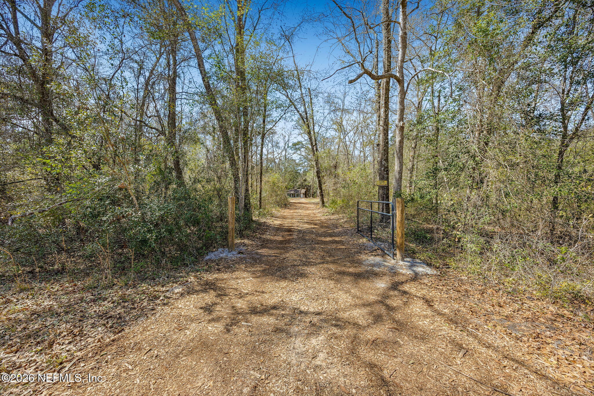 16684 Oak Hill Road Hilliard, FL 32046 - Photo 33 of 33 a view of a yard with trees