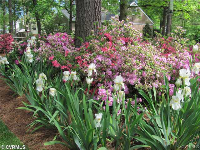1510 Willingham Road Richmond, VA 23238 - Photo 3 of 24 Yard/Garden