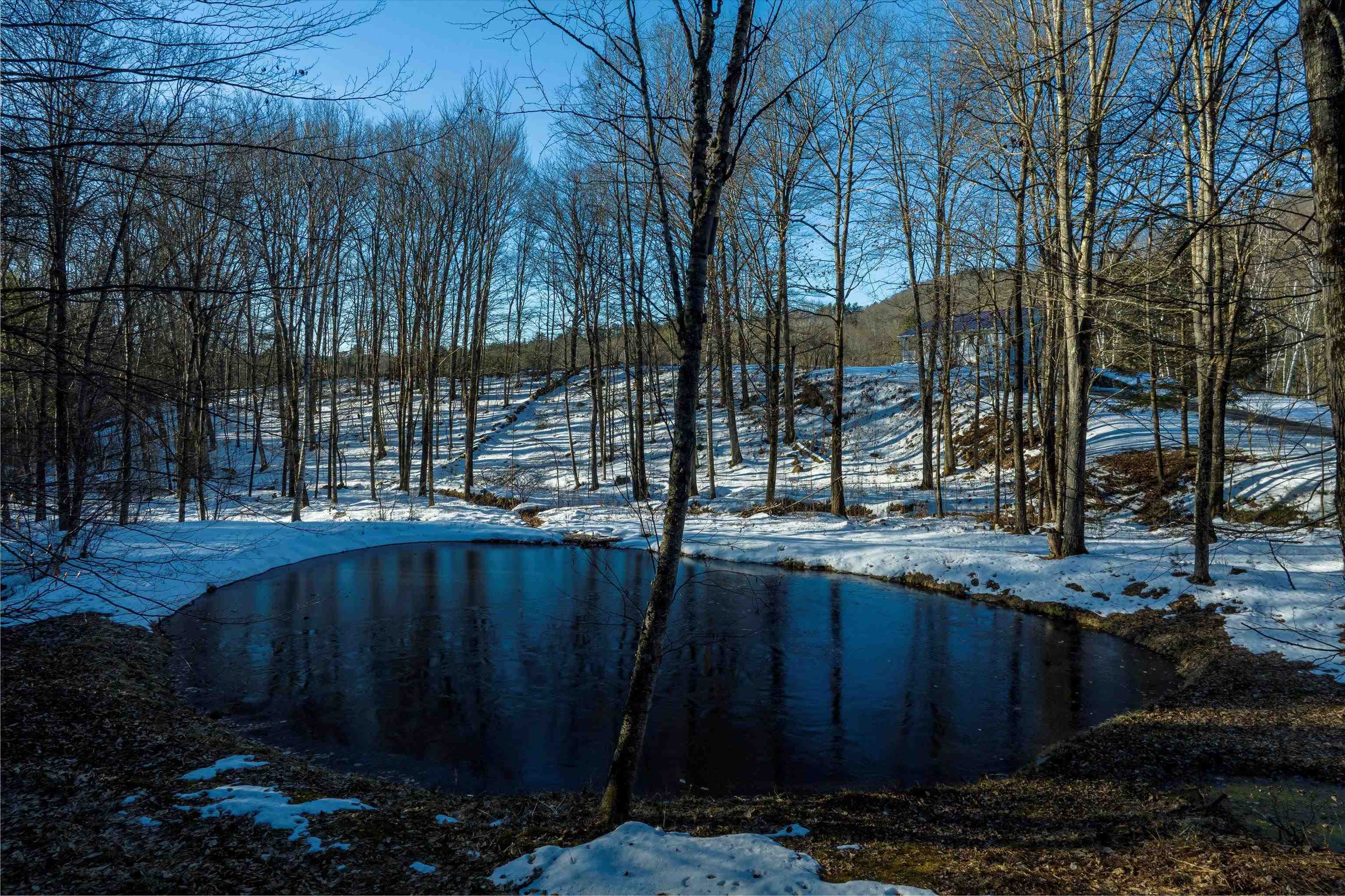 656 Pleasant Valley Road Springfield, VT 05156 - Photo 22 of 32