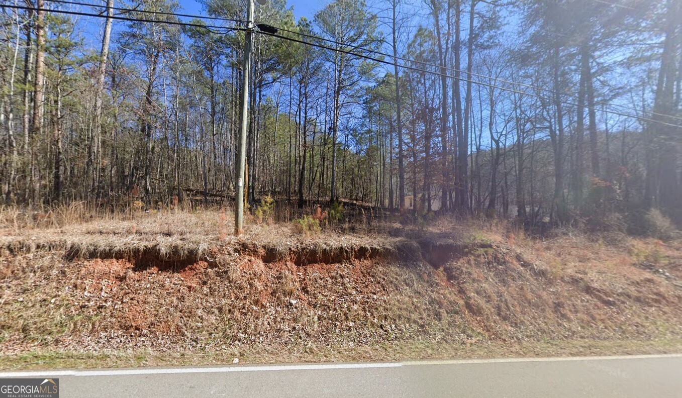 2550 Pettit Road Jasper, GA 30143 - Photo 2 of 6
