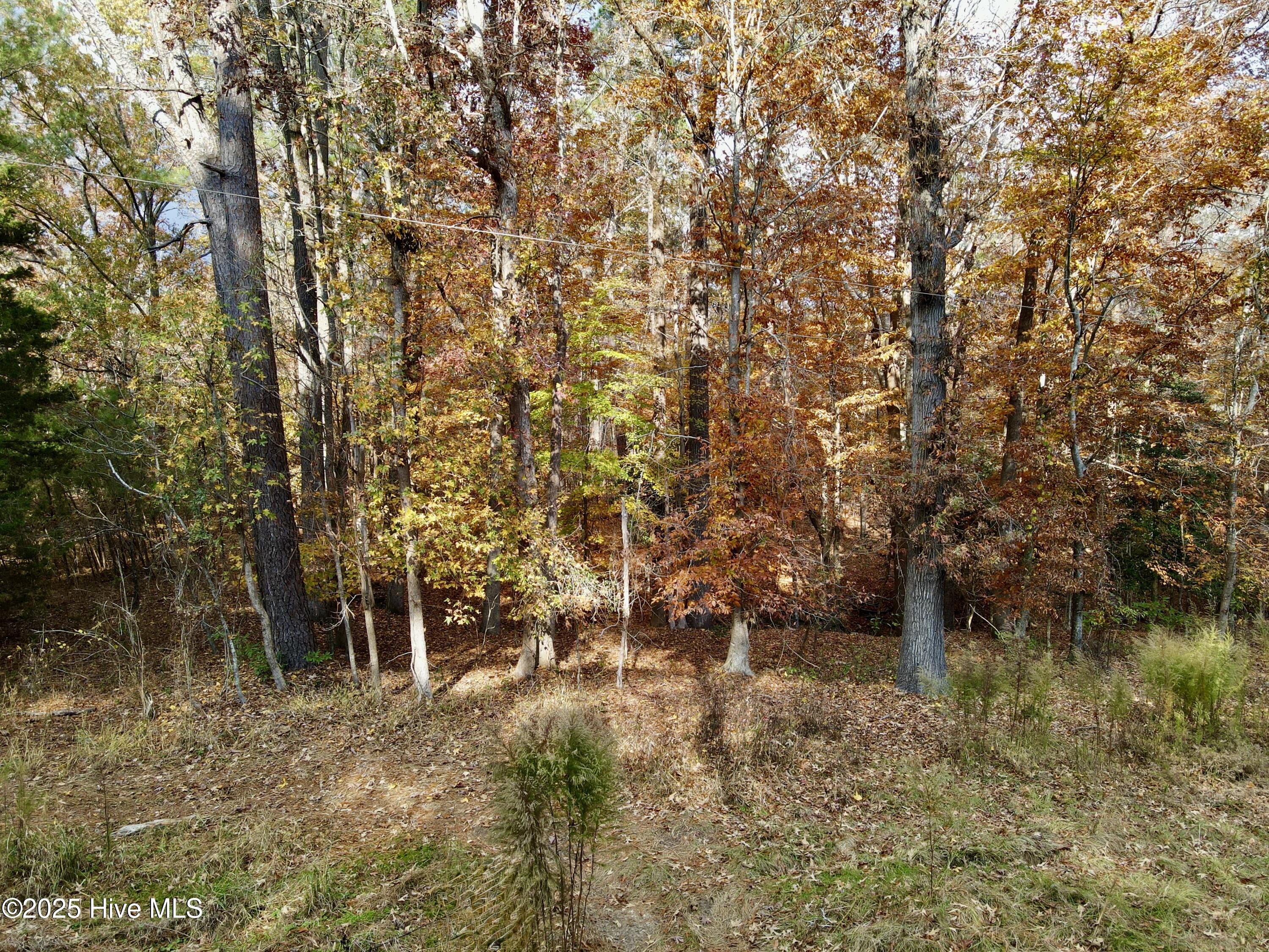 0 Williams Road Williamston, NC 27892 - Photo 9 of 16 Street View