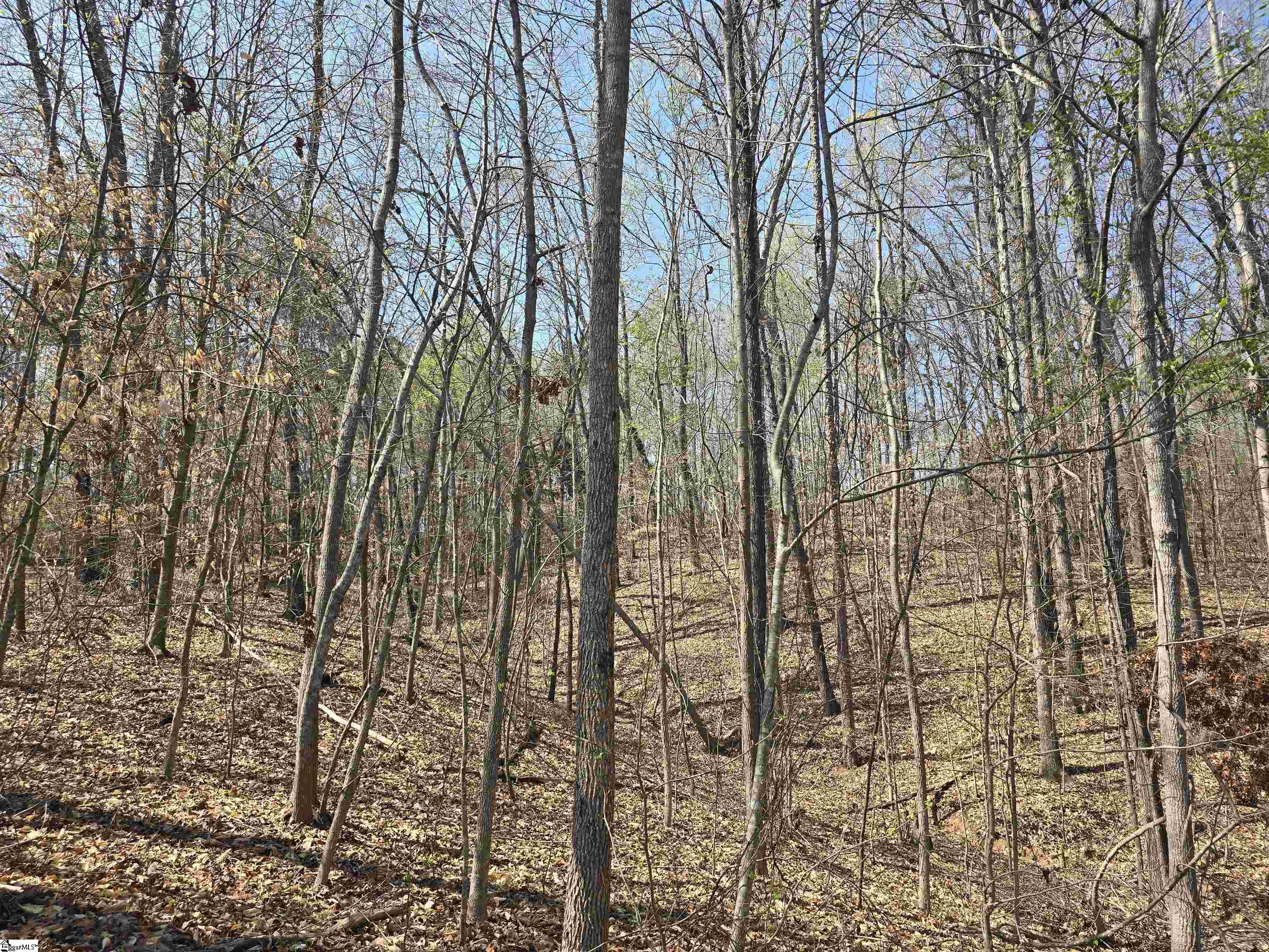 759 Durham Brown Road Seneca, SC 29678 - Photo 1 of 8