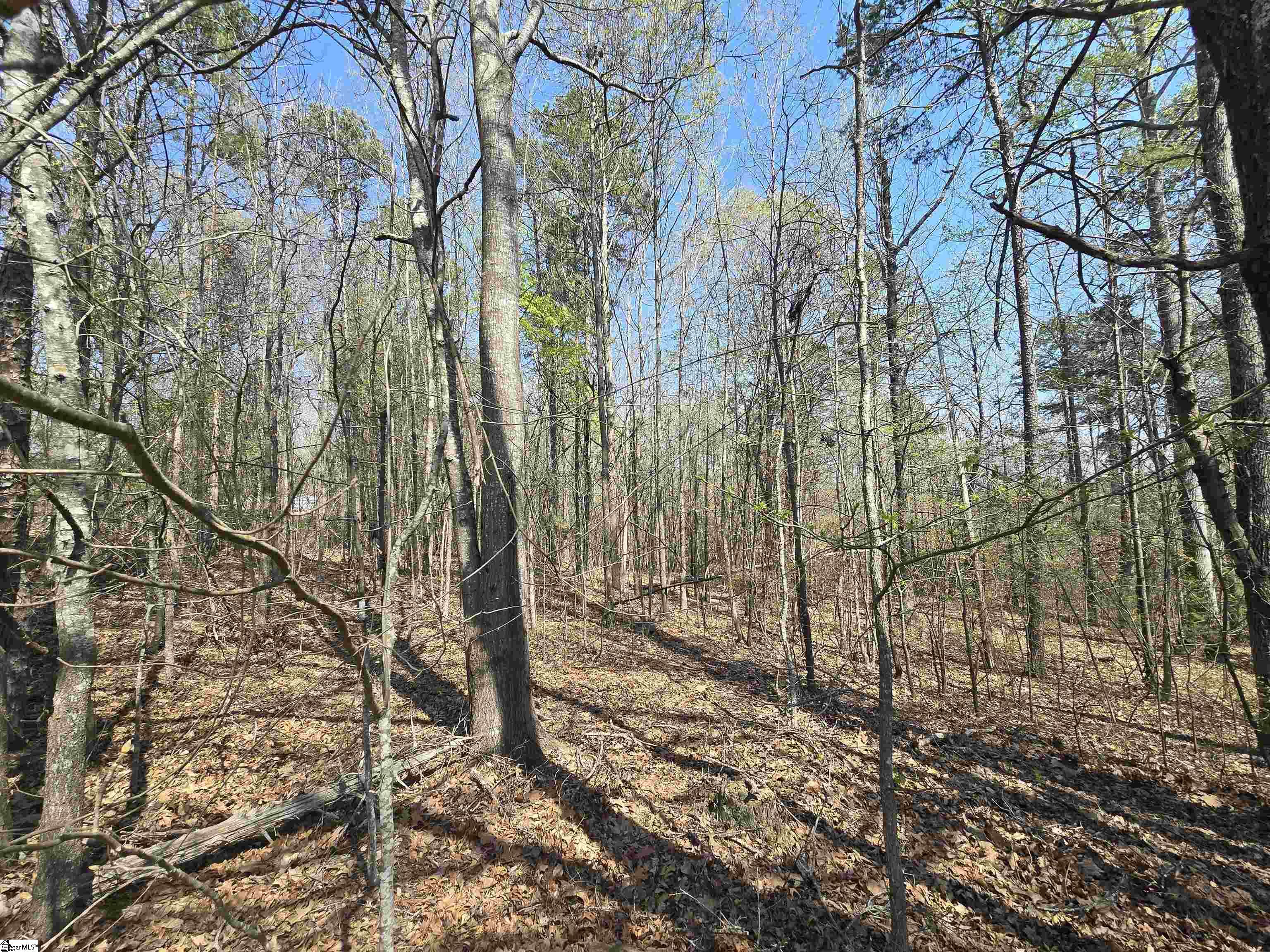 759 Durham Brown Road Seneca, SC 29678 - Photo 2 of 8