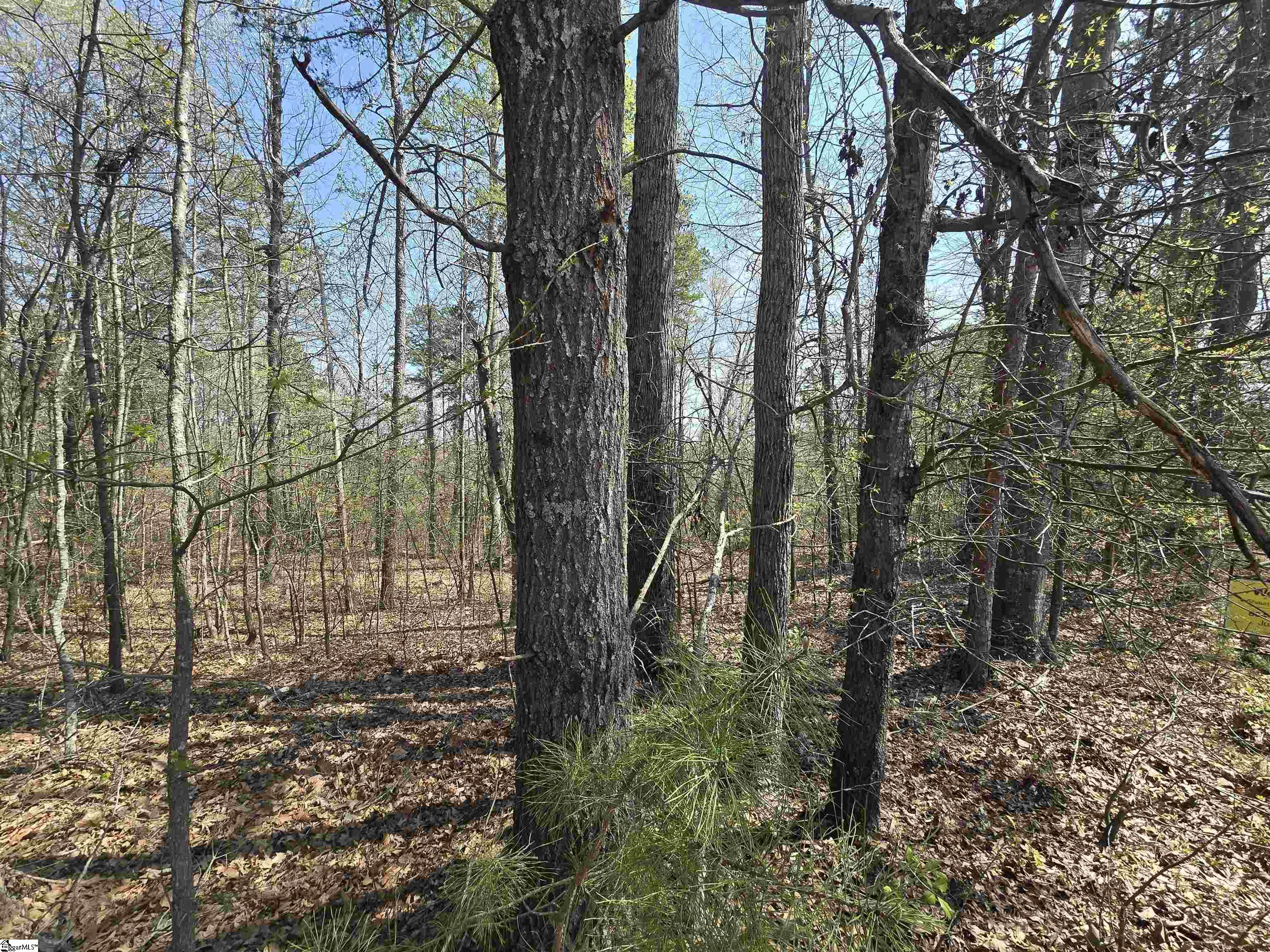 759 Durham Brown Road Seneca, SC 29678 - Photo 3 of 8