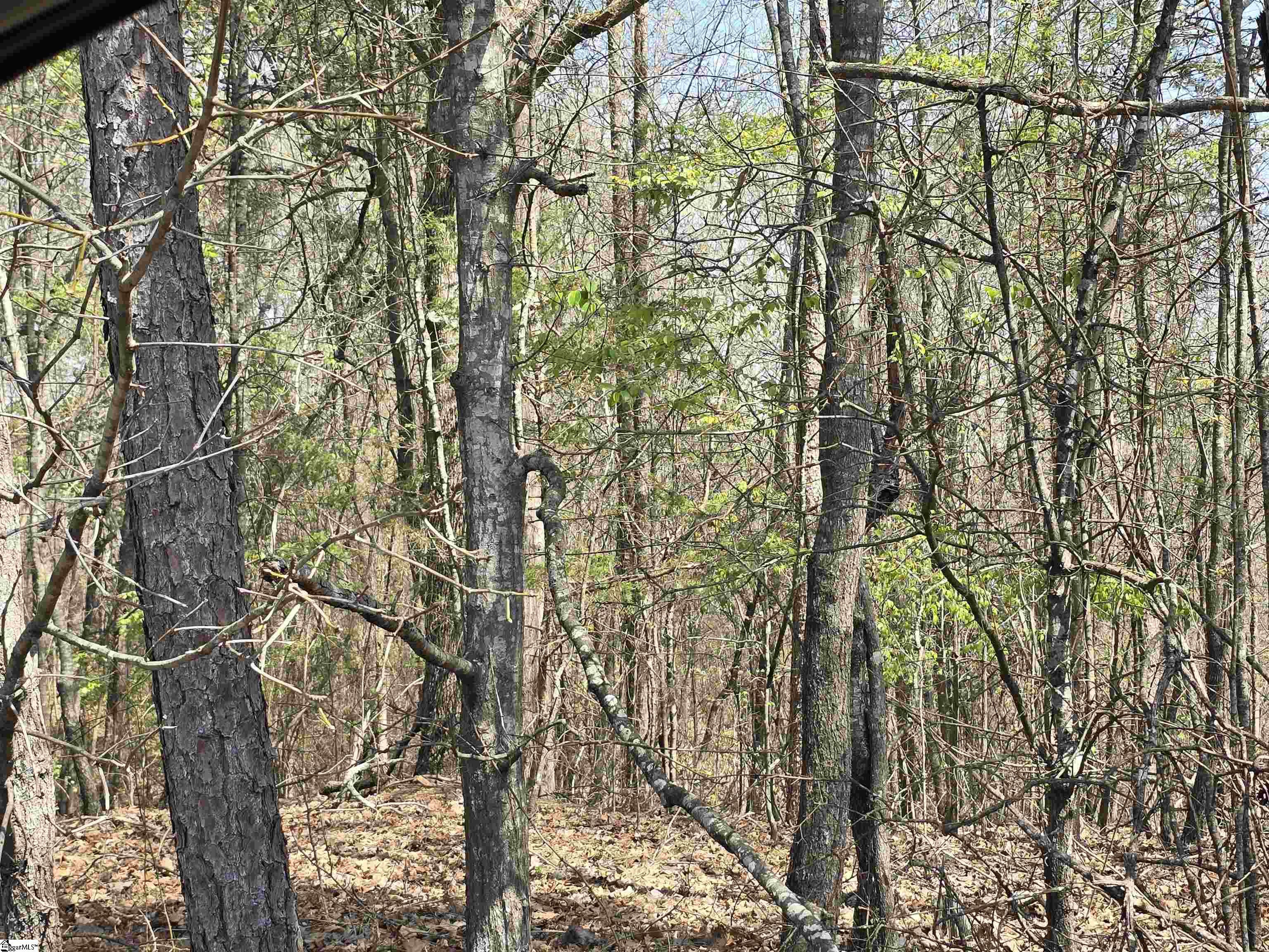 759 Durham Brown Road Seneca, SC 29678 - Photo 4 of 8