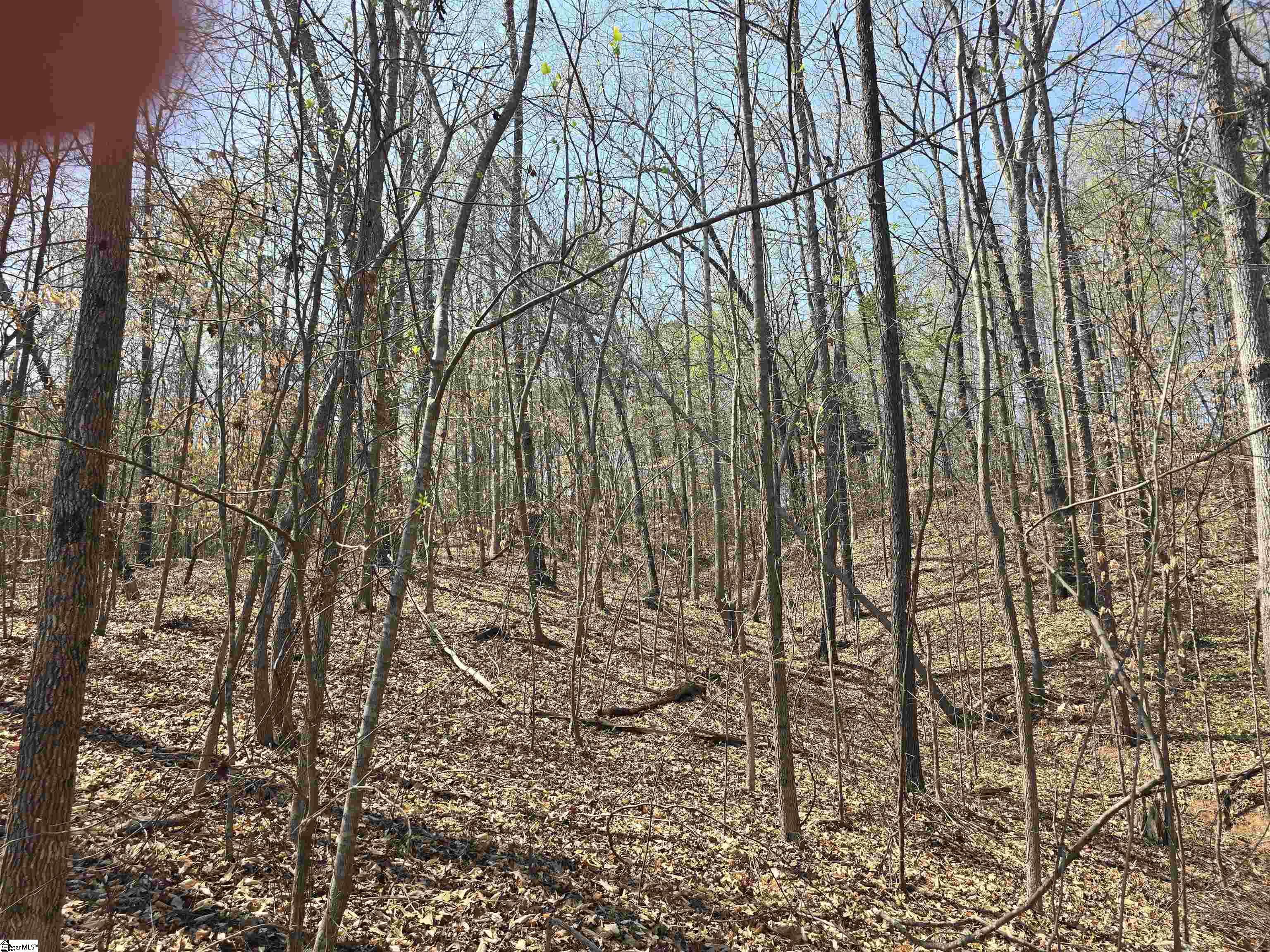 759 Durham Brown Road Seneca, SC 29678 - Photo 5 of 8