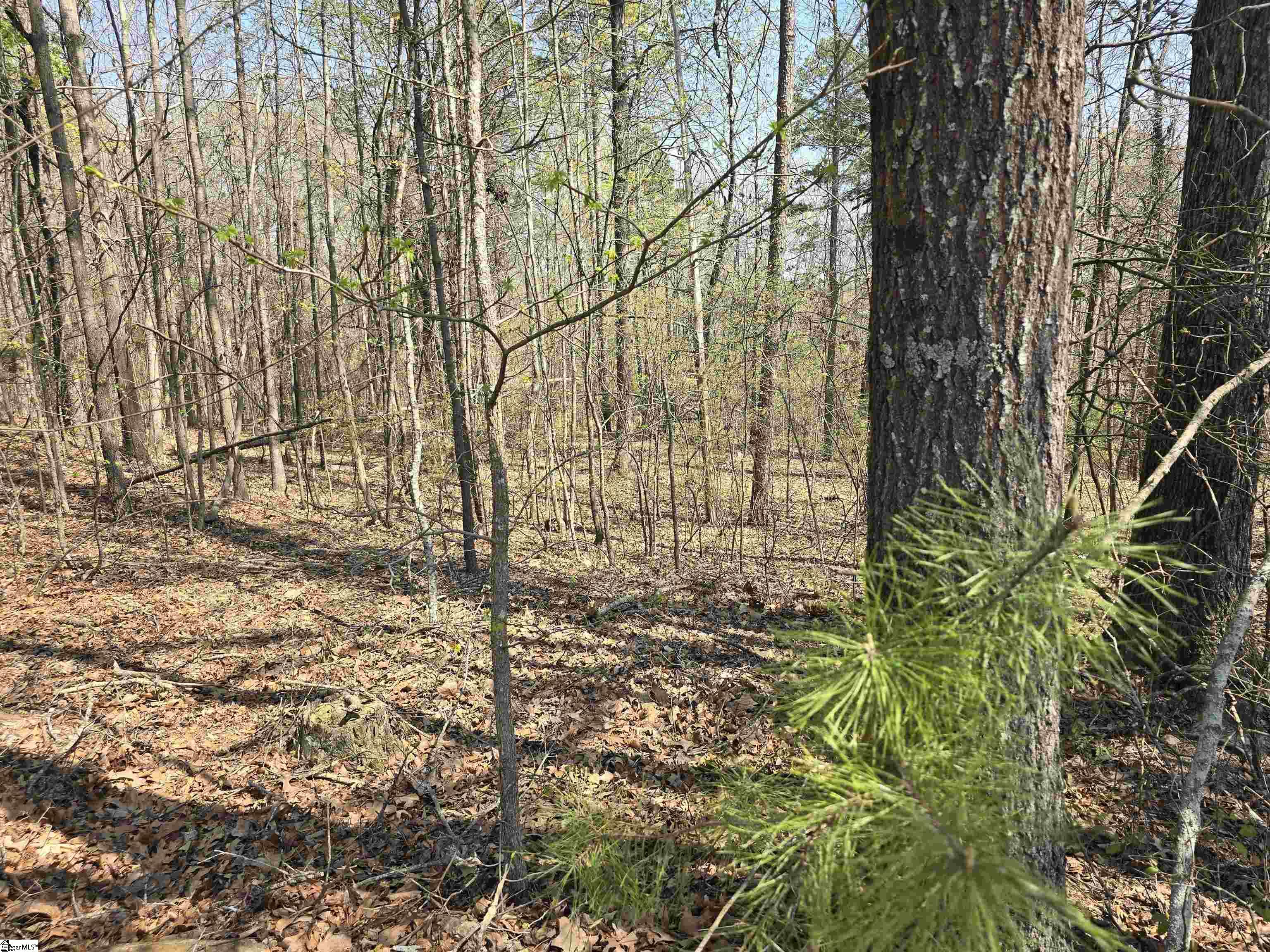 759 Durham Brown Road Seneca, SC 29678 - Photo 6 of 8