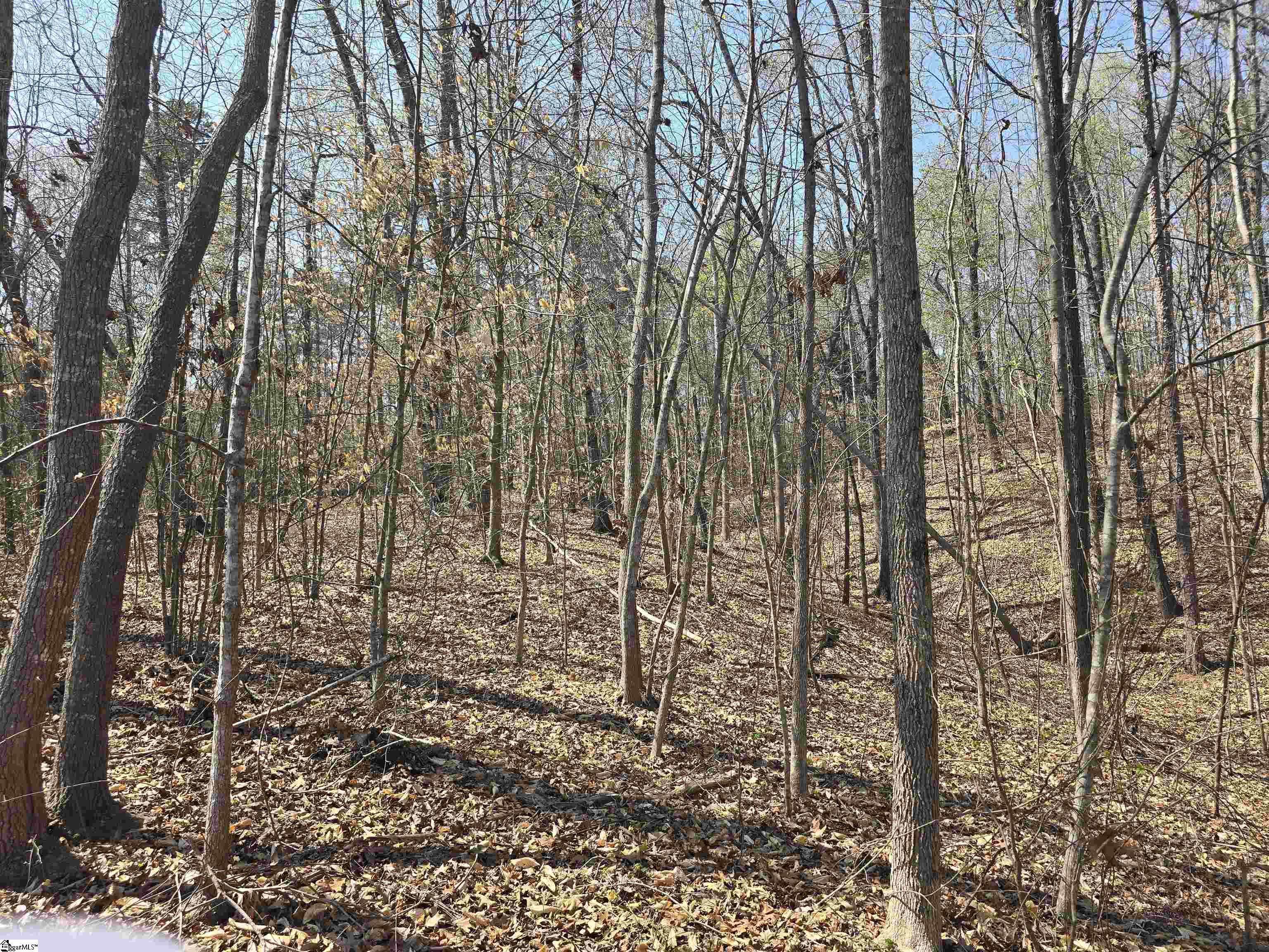 759 Durham Brown Road Seneca, SC 29678 - Photo 7 of 8