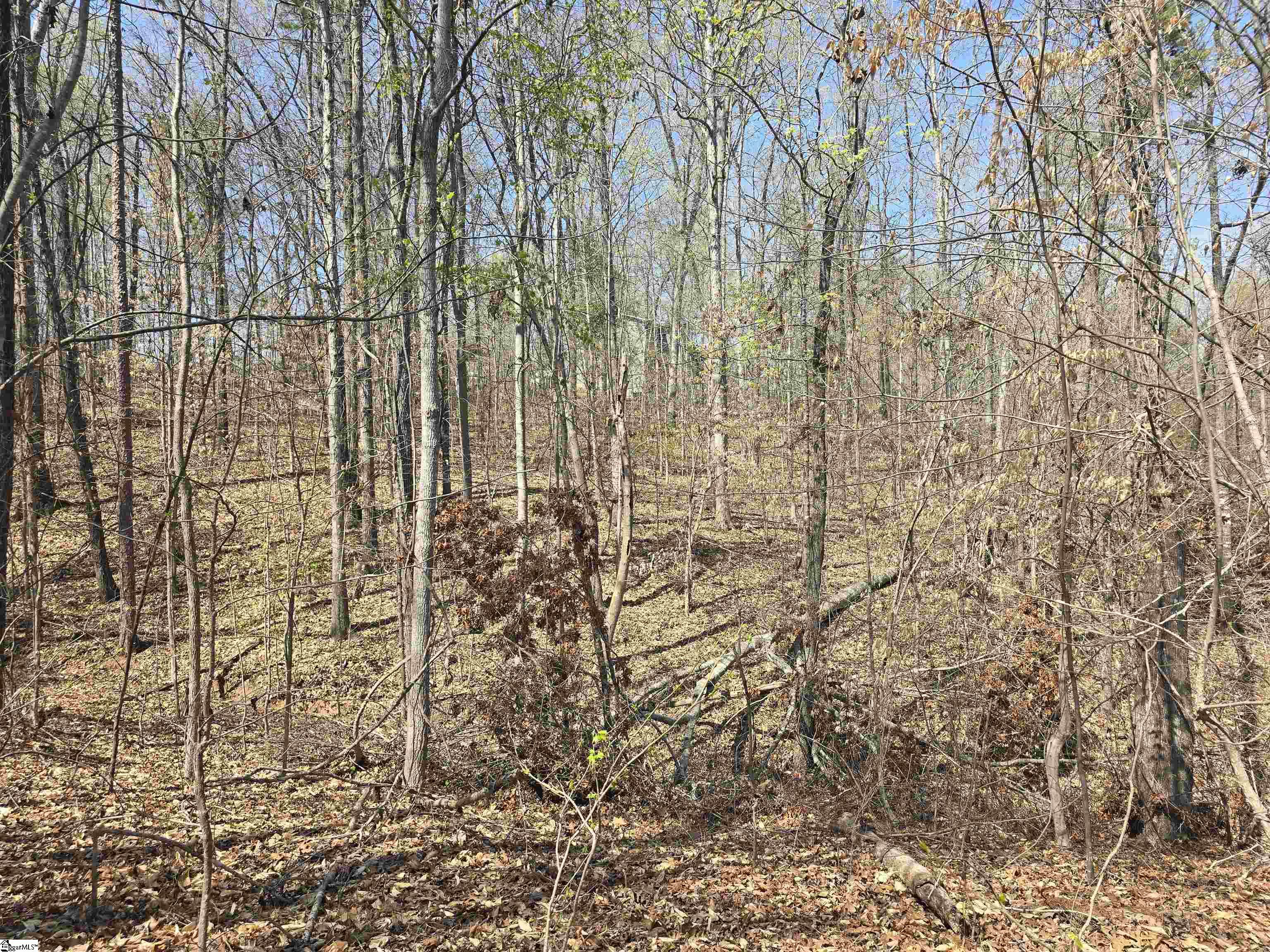 759 Durham Brown Road Seneca, SC 29678 - Photo 8 of 8