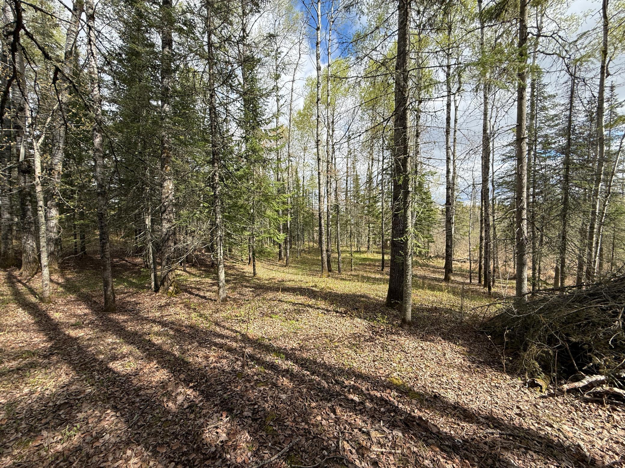 7355 West Melrude Road Cotton, MN 55724 - Photo 32 of 66