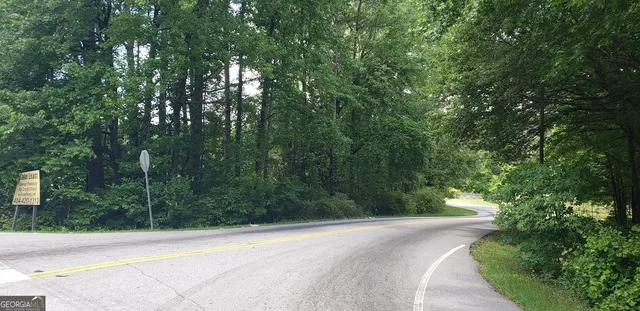 a view of a yard with plants and large trees