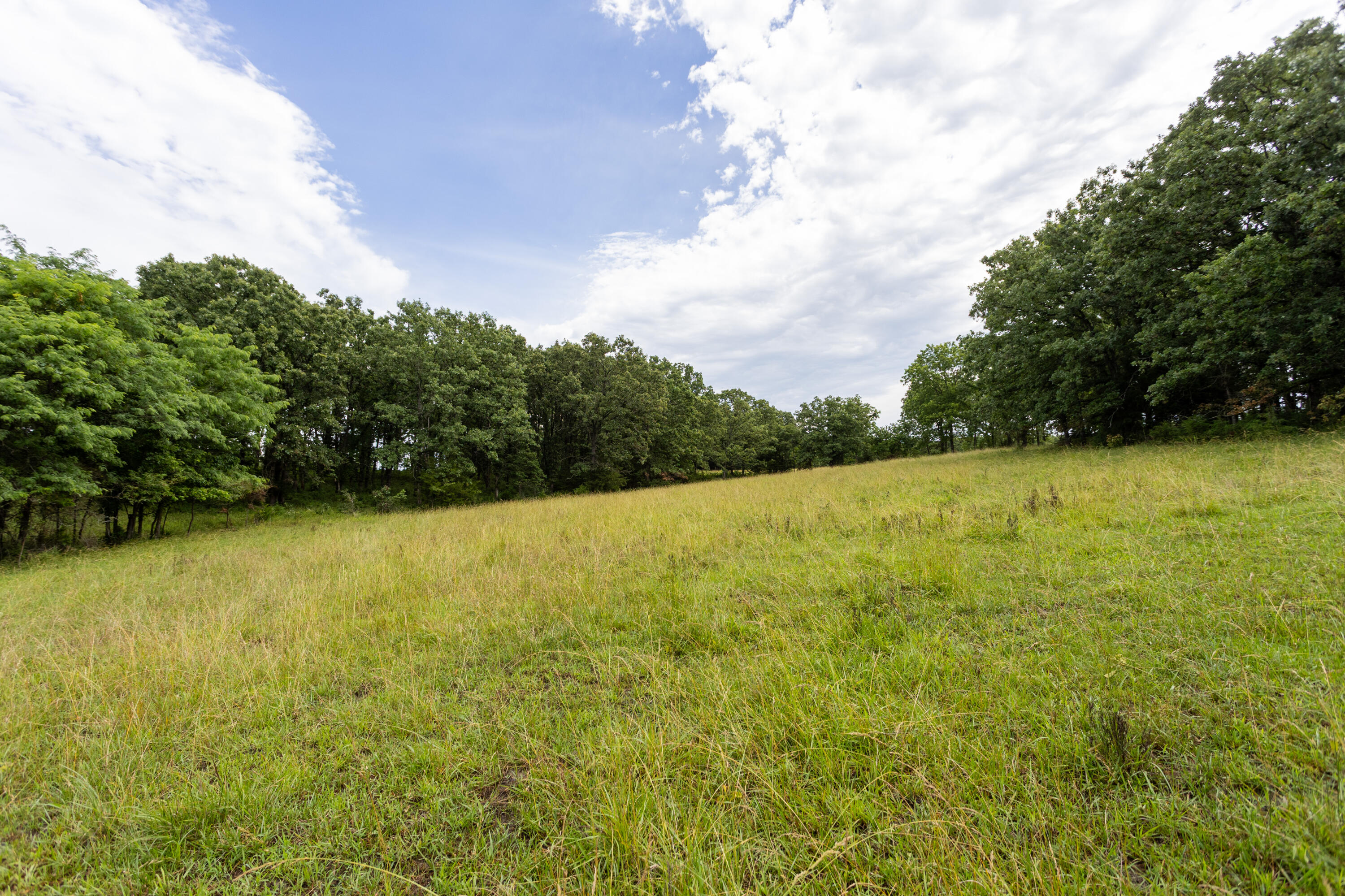0 South 220th Road Half Way, MO 65663 - Photo 33 of 47 Polk 30_-6