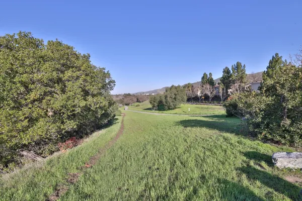 a view of a field with an trees