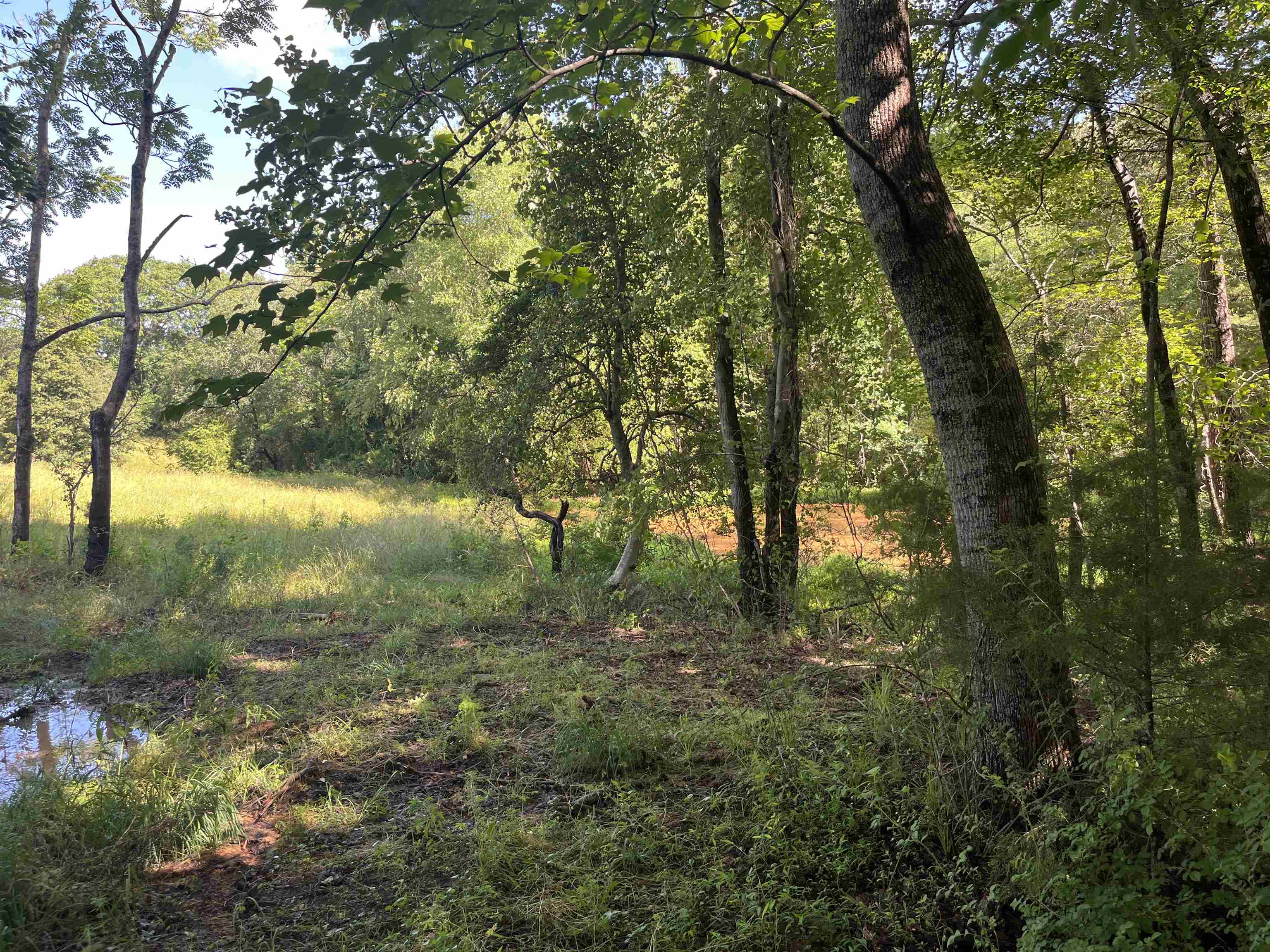 Henry Cash Road Chesnee, SC 29323 - Photo 1 of 7