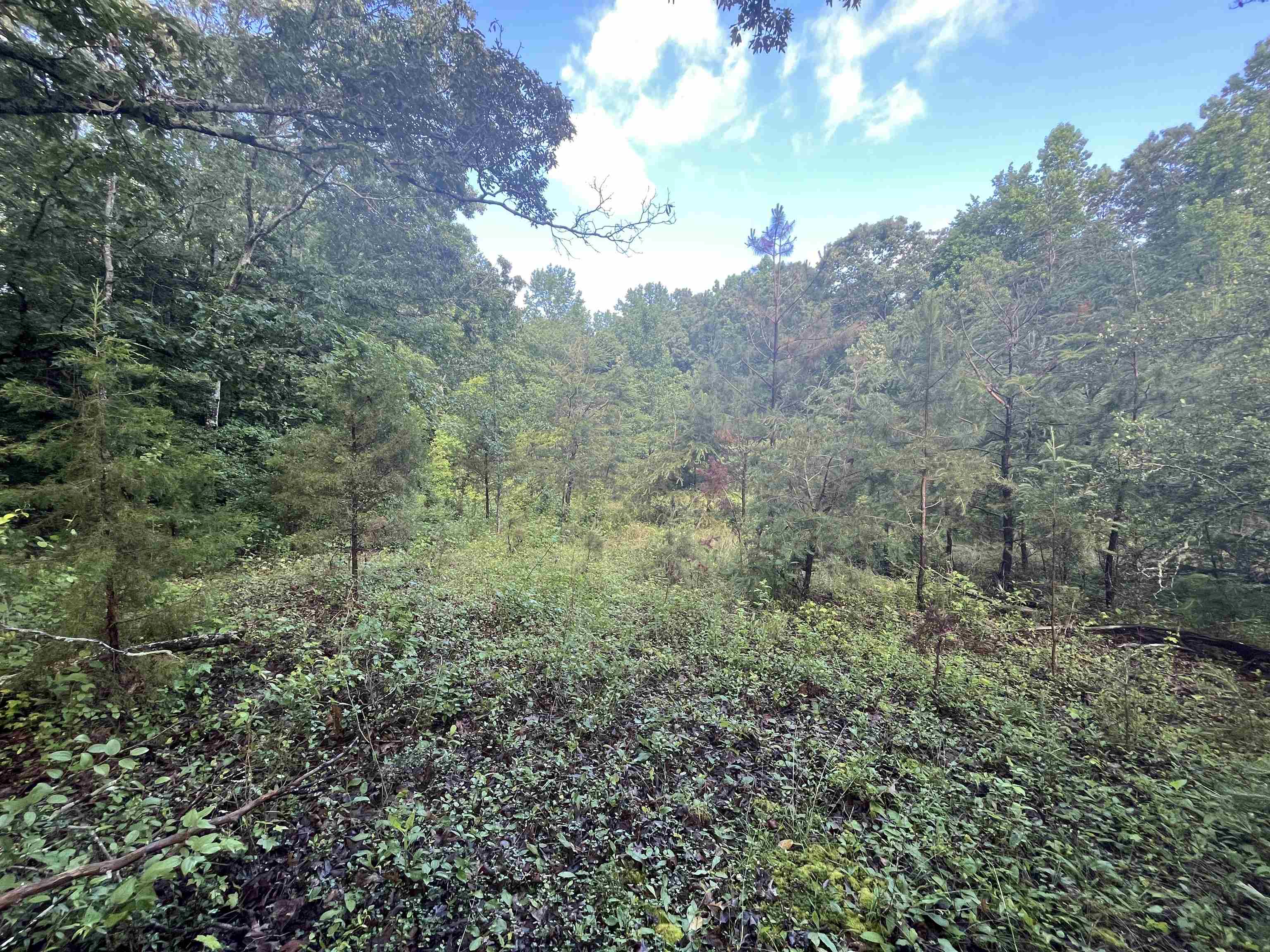Henry Cash Road Chesnee, SC 29323 - Photo 2 of 7
