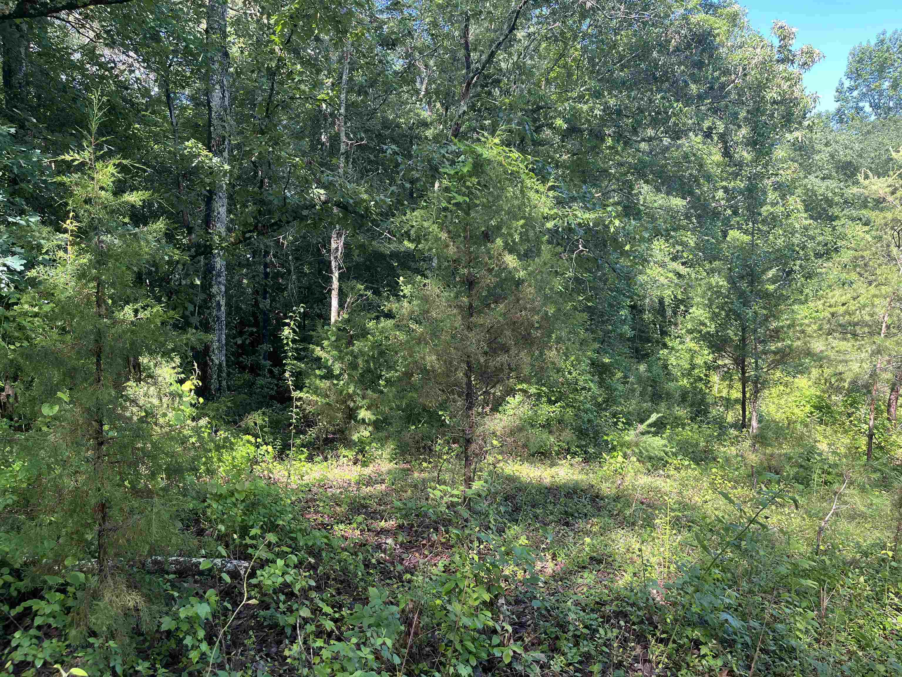 Henry Cash Road Chesnee, SC 29323 - Photo 3 of 7