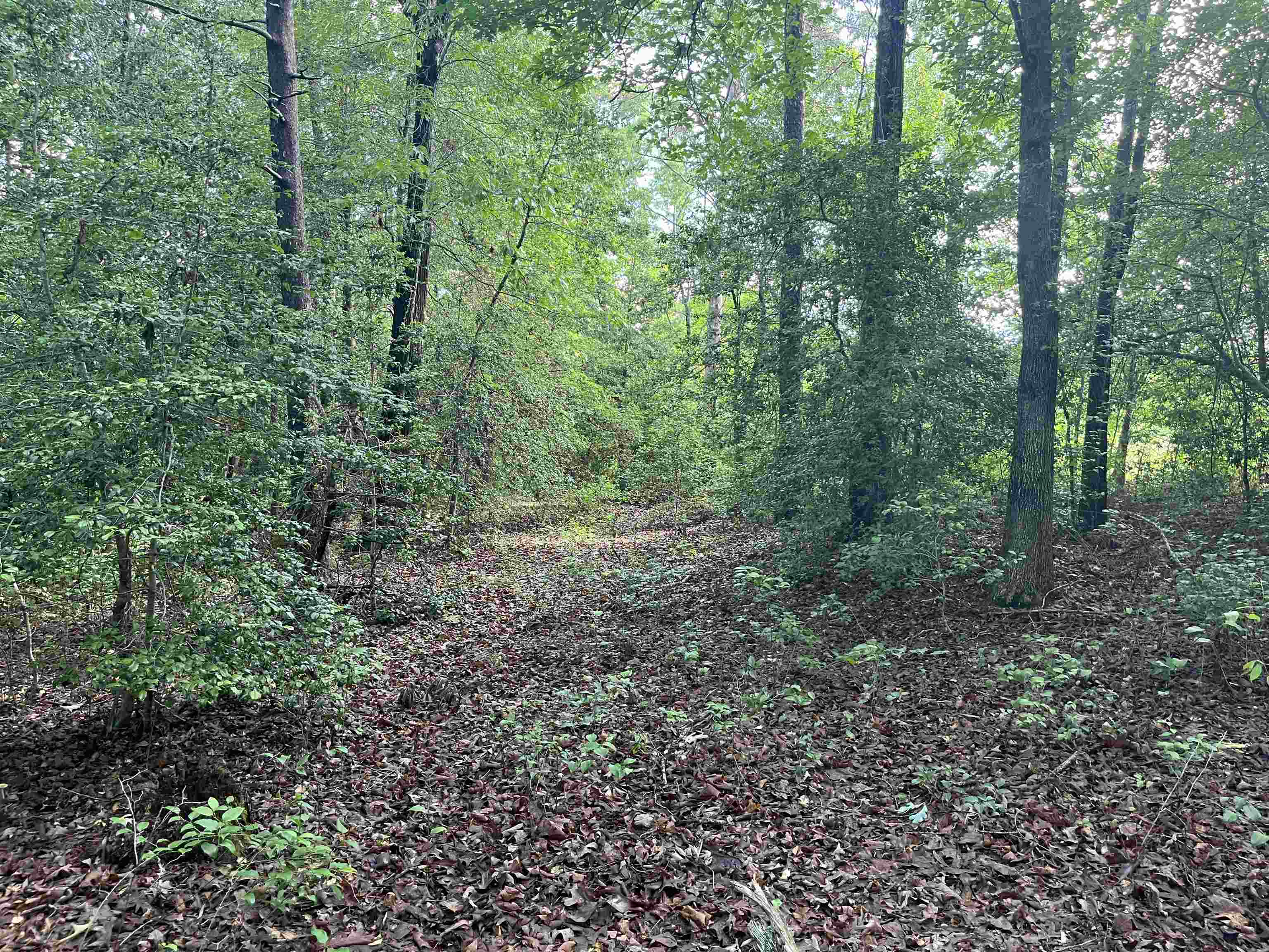 Henry Cash Road Chesnee, SC 29323 - Photo 5 of 7