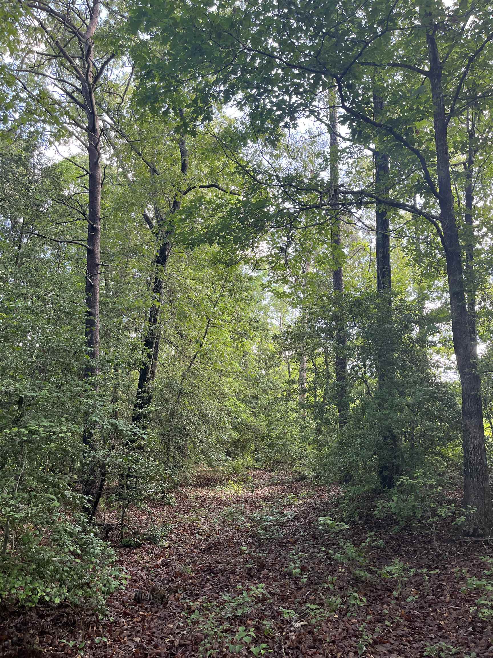 Henry Cash Road Chesnee, SC 29323 - Photo 7 of 7