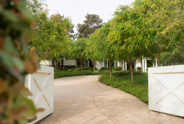 a view of a park with large trees